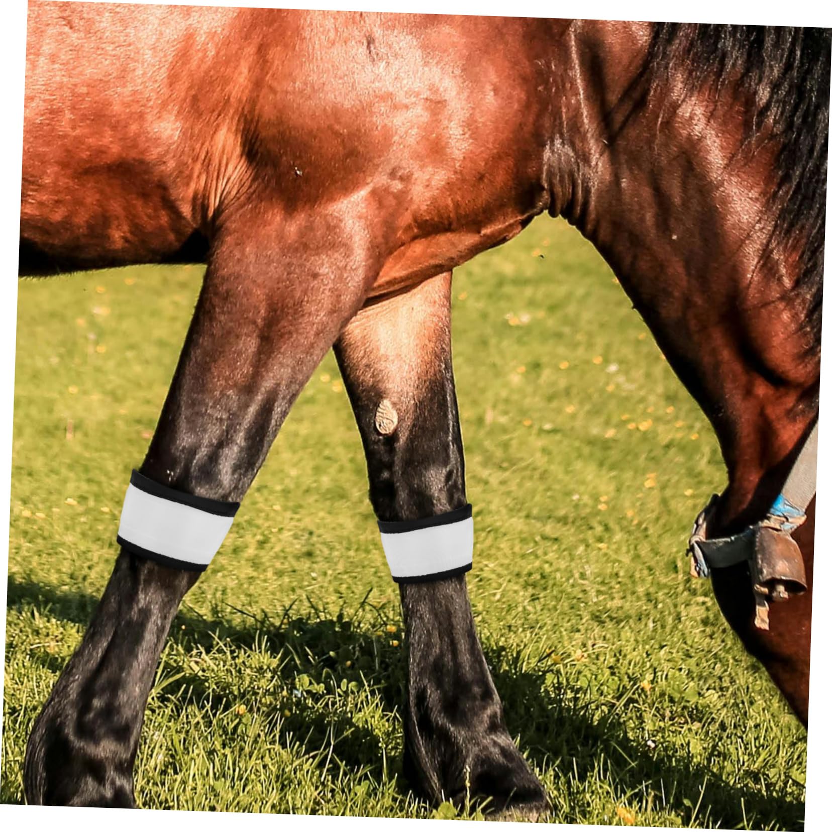 Happyyami 4 Stück Weißer Lederpferdestiefel mit Pferdedecke Reflektierend Vorderzeug für Pferde und Leuchtendes Reiten Zubehör für Sicheres Nachtreiten