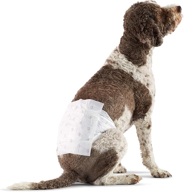 Amazon Basics Male Dog Wrap, Disposable Nappies  L, Pack of 50