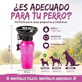 Ver la foto 5