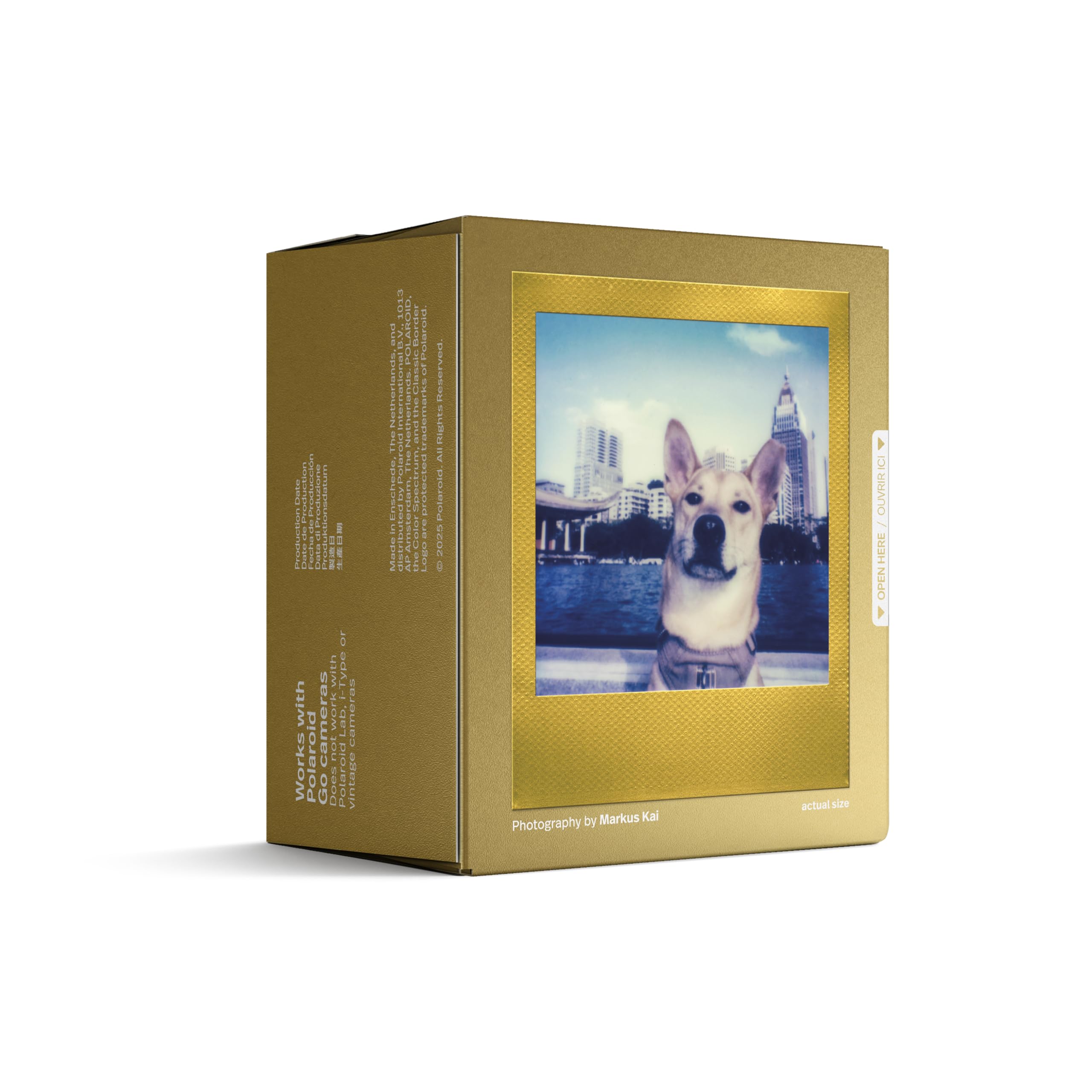 Polaroid - Film Couleur pour Go - Cadre doré - Double Pack (16 Photos)