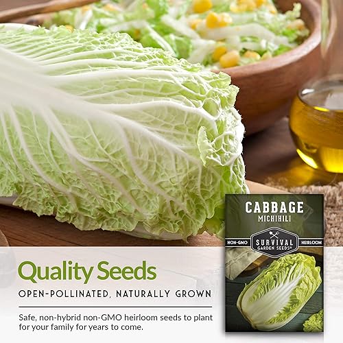 Miniatura 4 de Survival Garden Seeds - Semilla de col Michihili NapaNappa para plantar - 2 paquetes con instrucciones para plantar verduras Brassica en el huerto