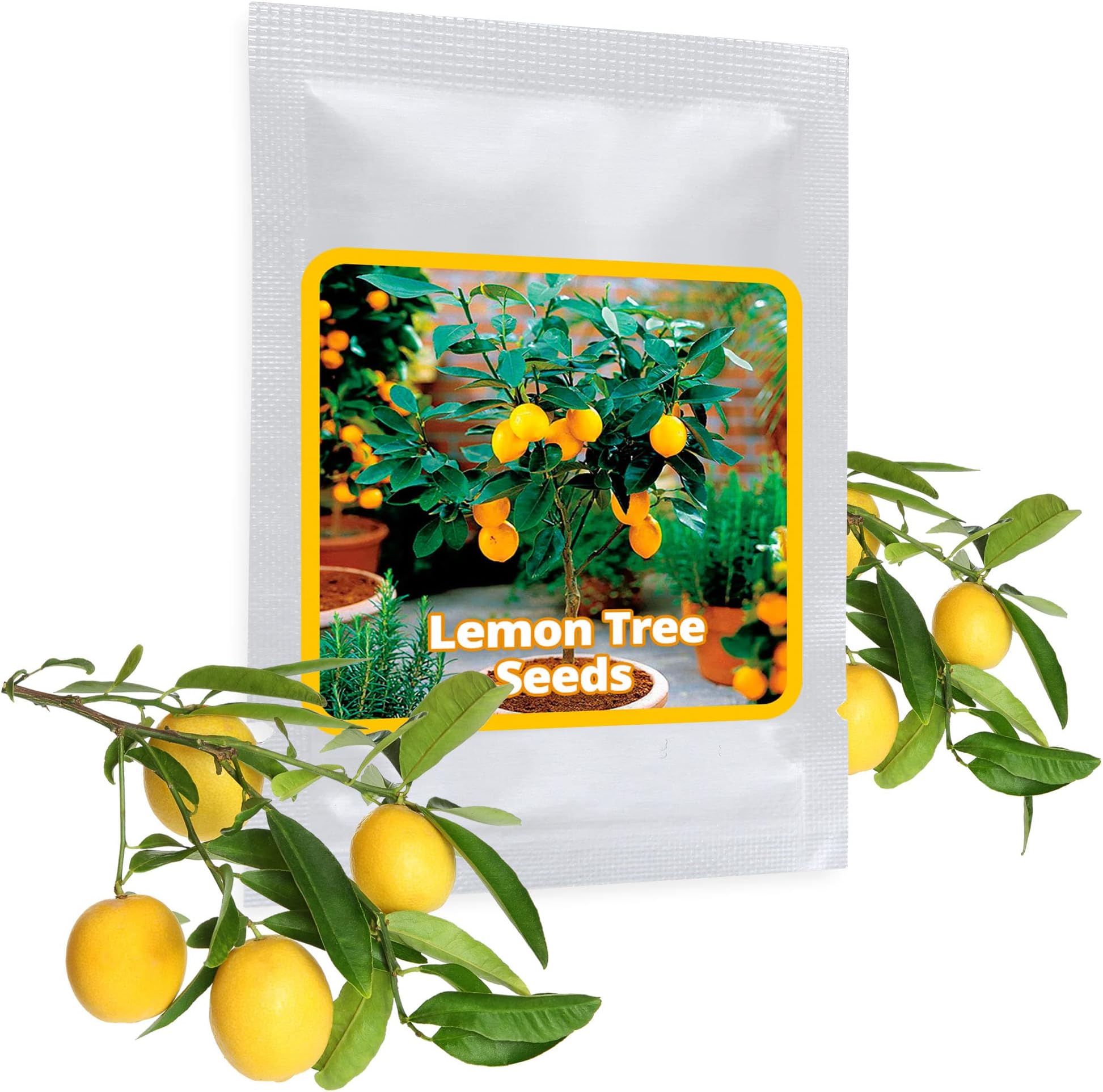 Dwarf Lemon Tree Seeds - 10 pcs/bag - cultivable as bonsai or tree