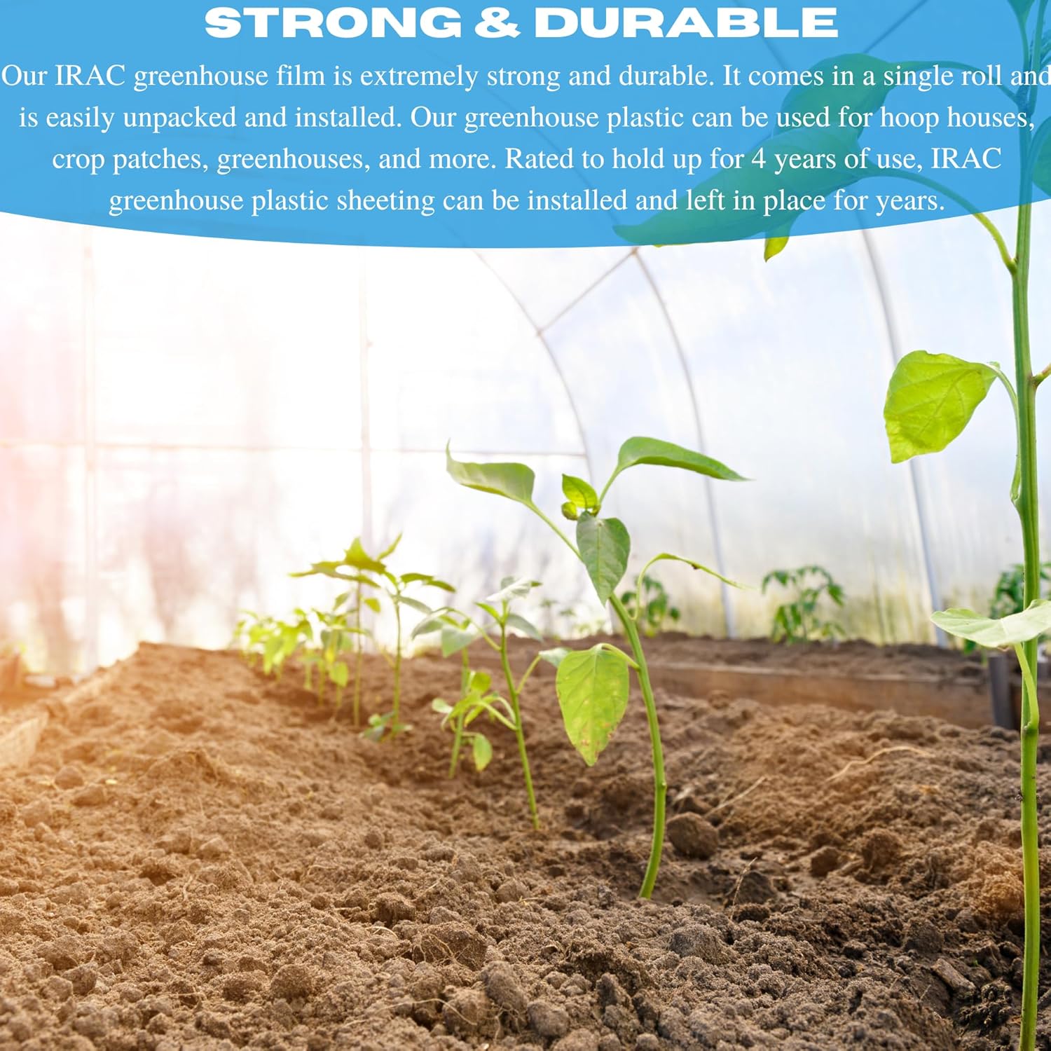 VBS - Clear IRAC Greenhouse Plastic Sheeting - 6 Mil - 4 Year UV Resistant Infrared Anti-Condensate Green House Covering Thermal Greenhouse Plastic 6 mil (40' x 100')