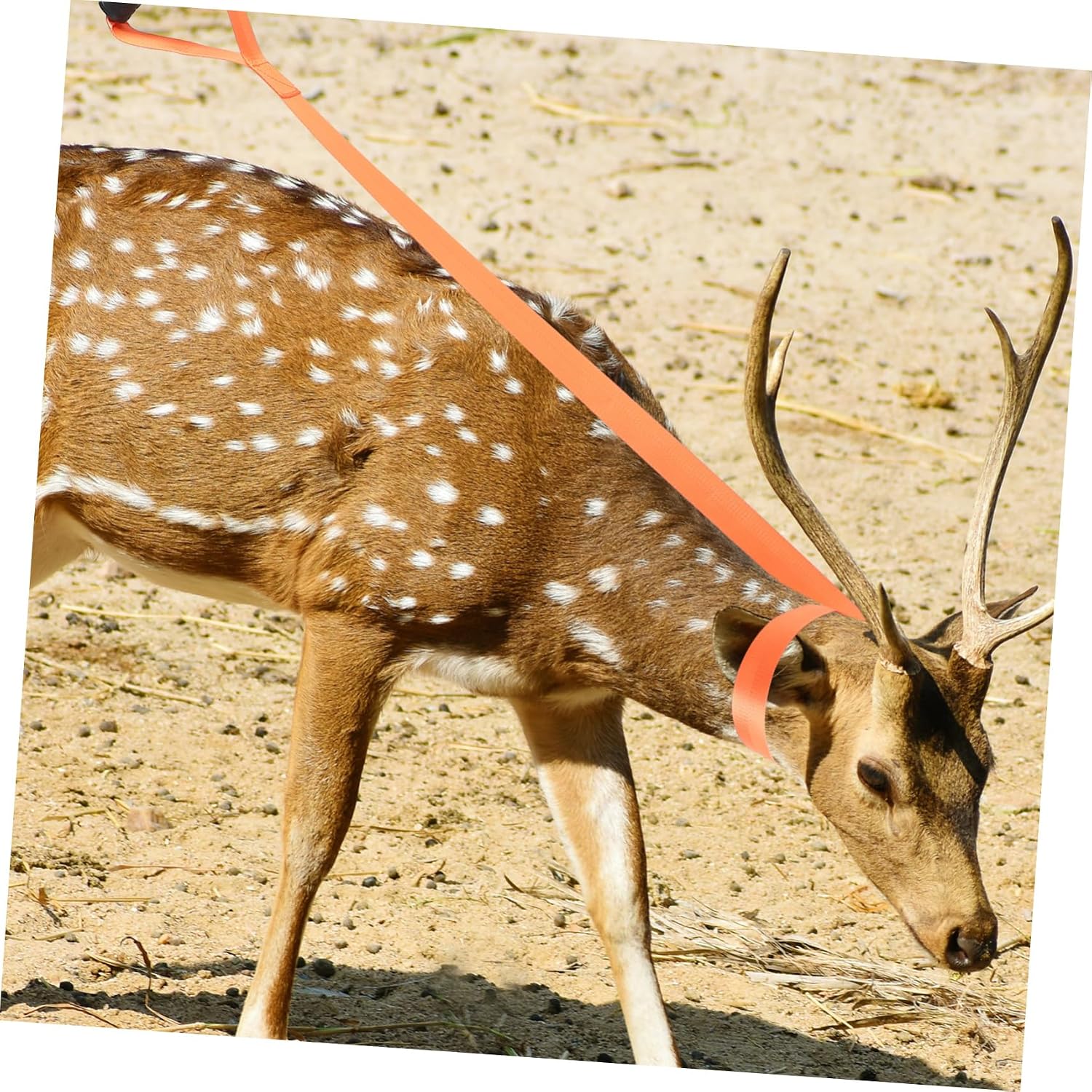 UPKOCH 2Pcs Deer Drag Harness Portable Hunting Strap for Easy Dragging Non Slip Design Durable Outdoor Gear for Deer Hunting Accessories