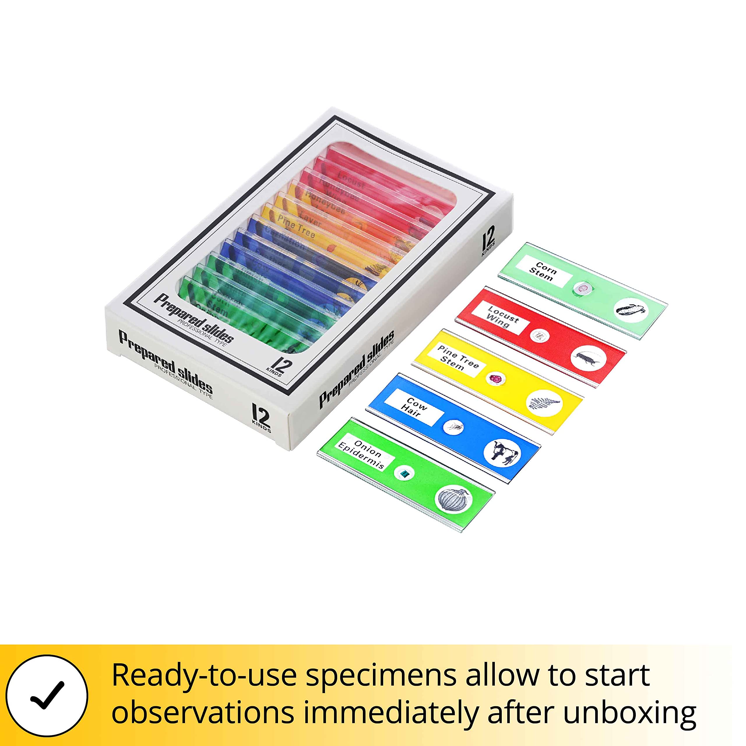 Levenhuk Rainbow DM700 LCD Digitales Drahtloses Mikroskop mit 17,8-cm-LCD-Bildschirm, 10- bis 200-Facher Vergrößerung, Fernbedienung und Dias im Set