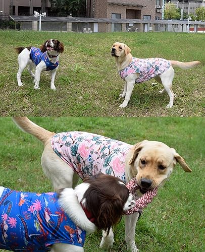 Vista 35 de Camisas refrescantes para perros, camisas para perros extra pequeñas, ropa para perros machos y hembras, camisetas refrescantes para Yorkie