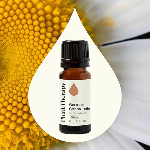 Miniatura 3 de Plant Therapy Aceite esencial de manzanilla alemana 100% puro, sin diluir, aromaterapia natural, grado terapéutico, 0.3fl oz (13 oz)