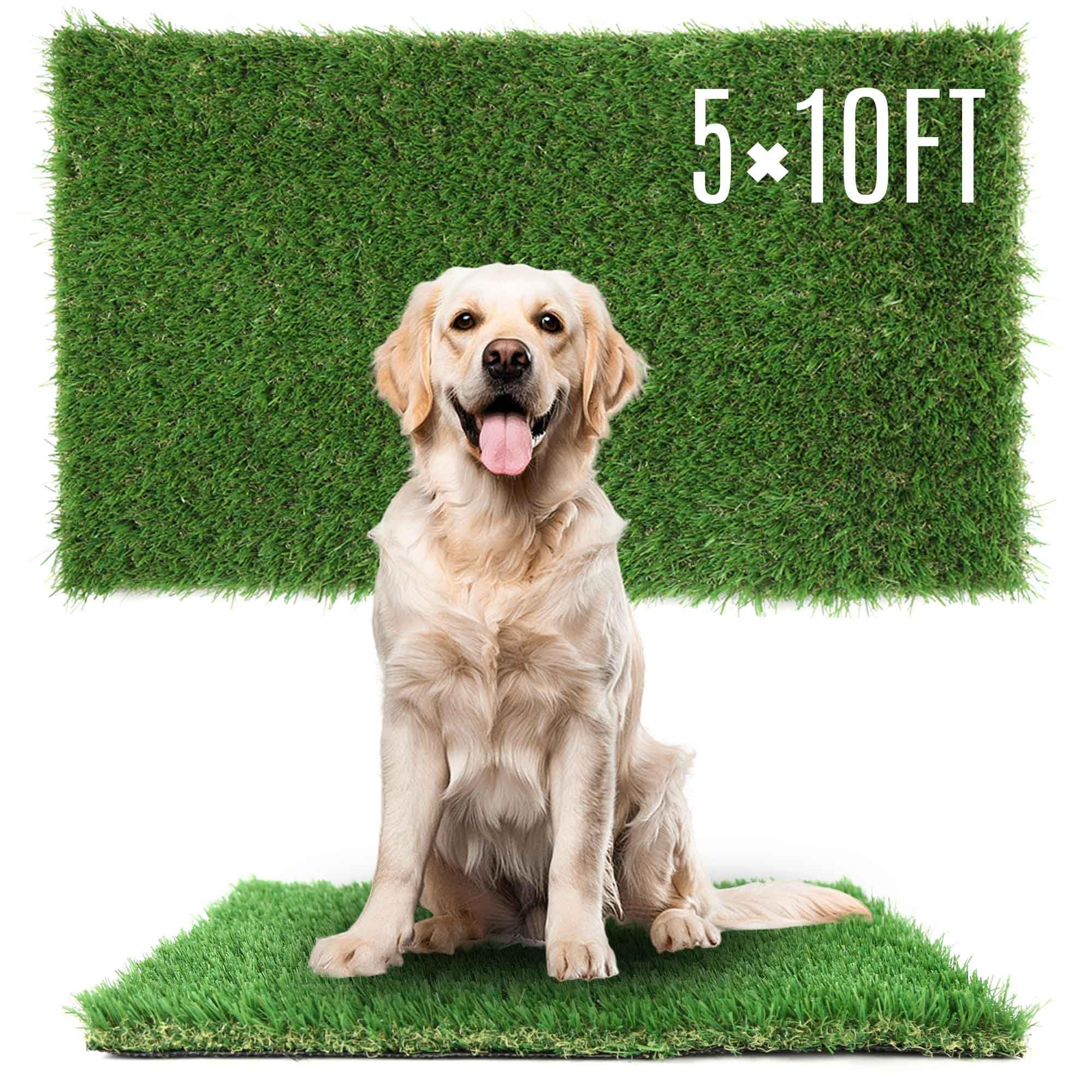 TURF XPRESS 5x10 FT Artificial Grass