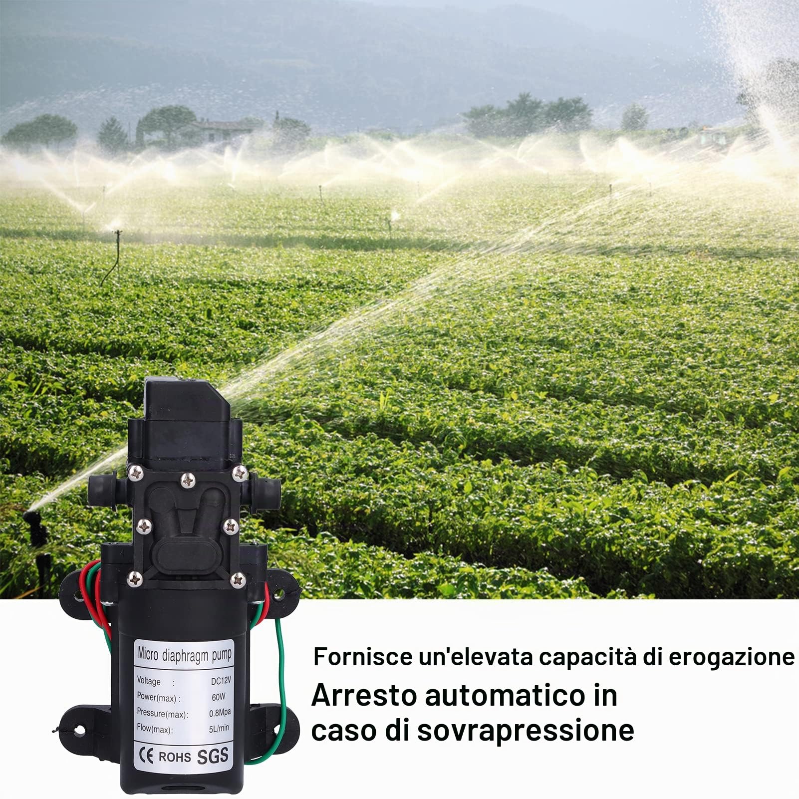 Pompa a Membrana 12V, 60W 5L/min 0.8Mpa Pompa Irroratrice Autoadescante a Flusso Grande con Arresto e Avvio Automatici, Pompa Booster per Irrigazione Giardino, Piscine