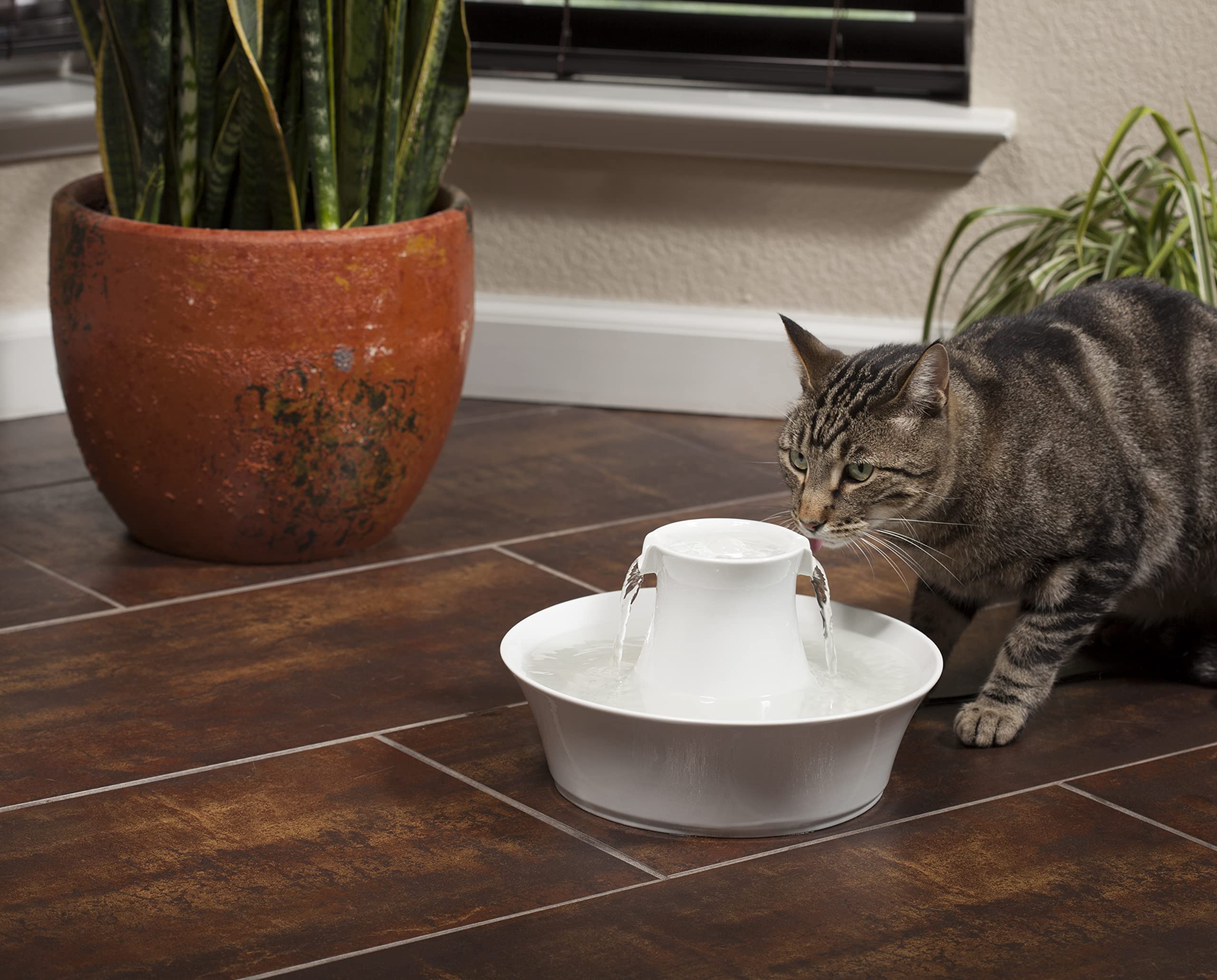 PetSafe AVALON-EU-45 Fontanella per Gatti e Cani in Ceramica Avalon Drinkwell - 2.7 kg