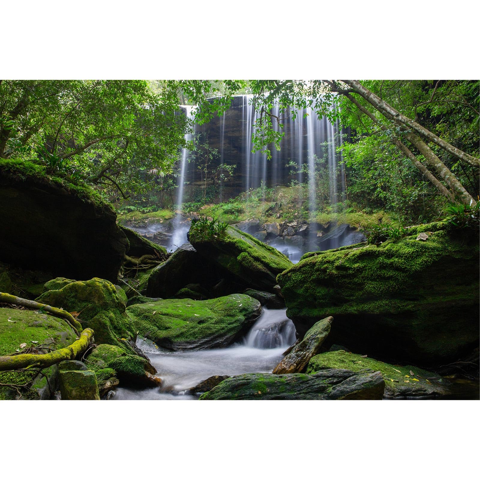 Waterfall Aquarium Background Jungle Forest Stream Landscape Fish Tank Backgrounds Tropical Plants Rocks Lush Moss Reptile Tank Backgrounds Jungle Rainforest Reptile Enclosure Backgrounds 30x12in