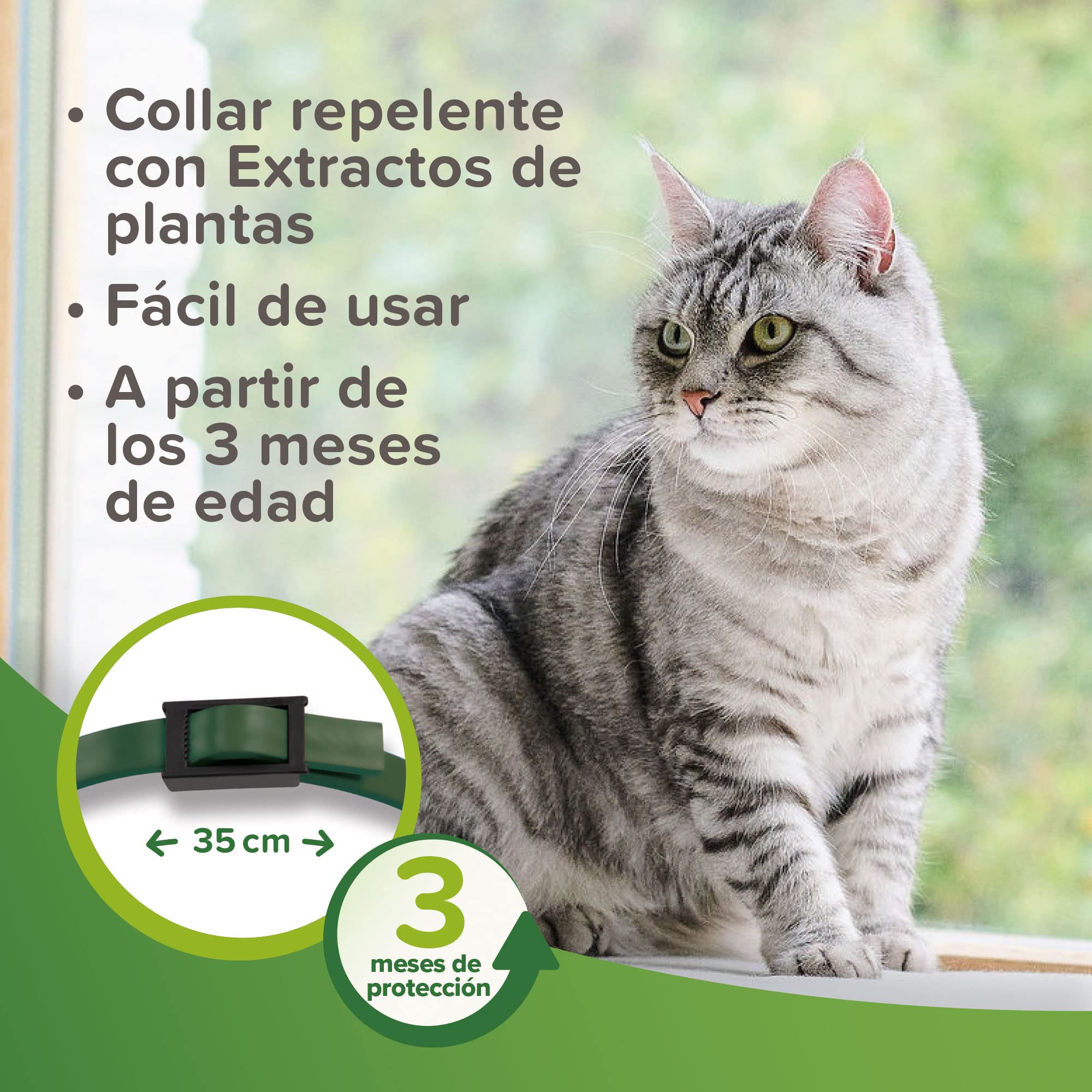 Beaphar Collar Repelente Natural para Gatos - 3 Meses de protección Natural contra garrapatas, pulgas y Mosquitos - para Todo Tipo de Gatos 35CM