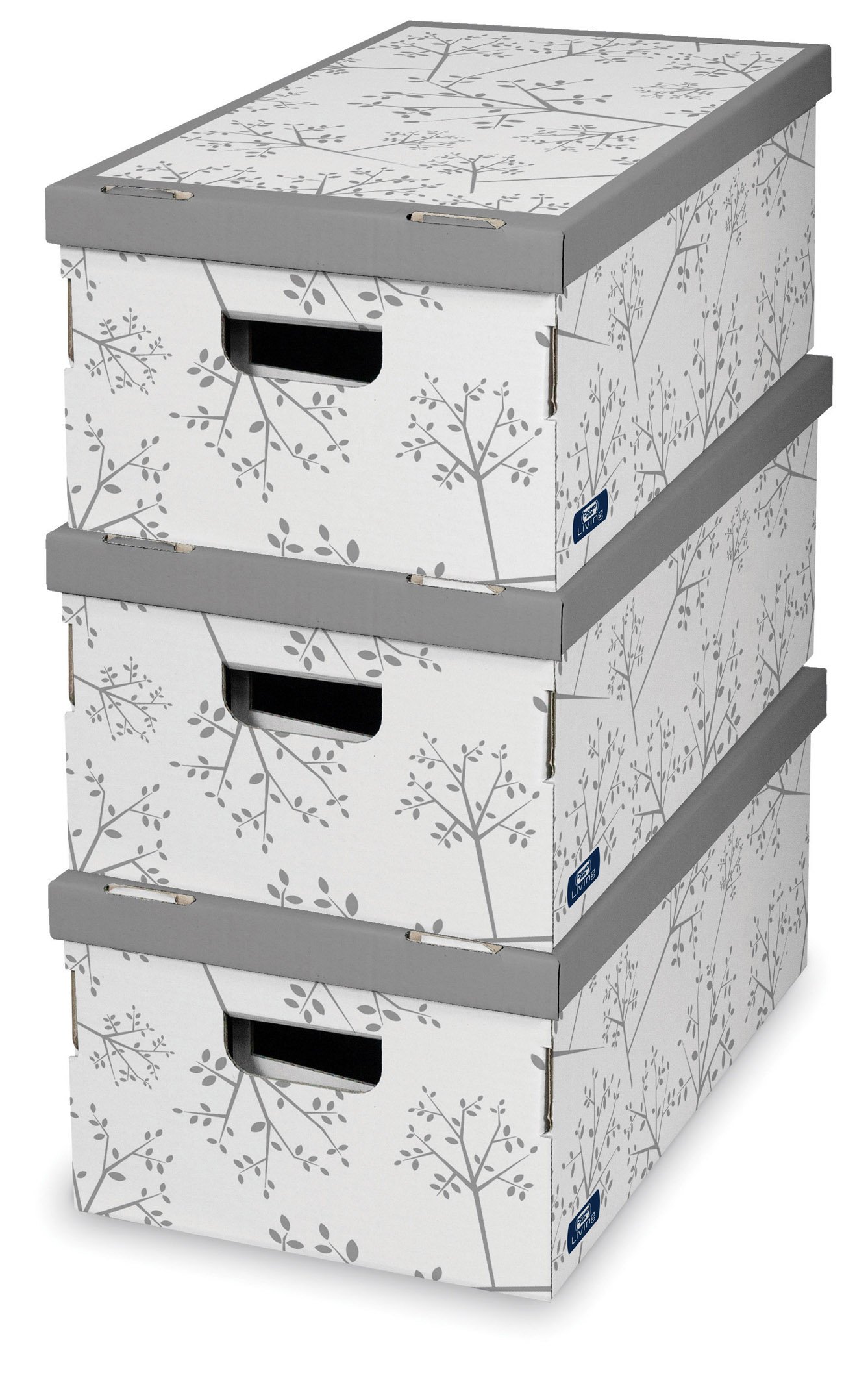 Domopak Living 914575, Set of 3 Self-Assembling Boxes Bon Ton, Assorted Color