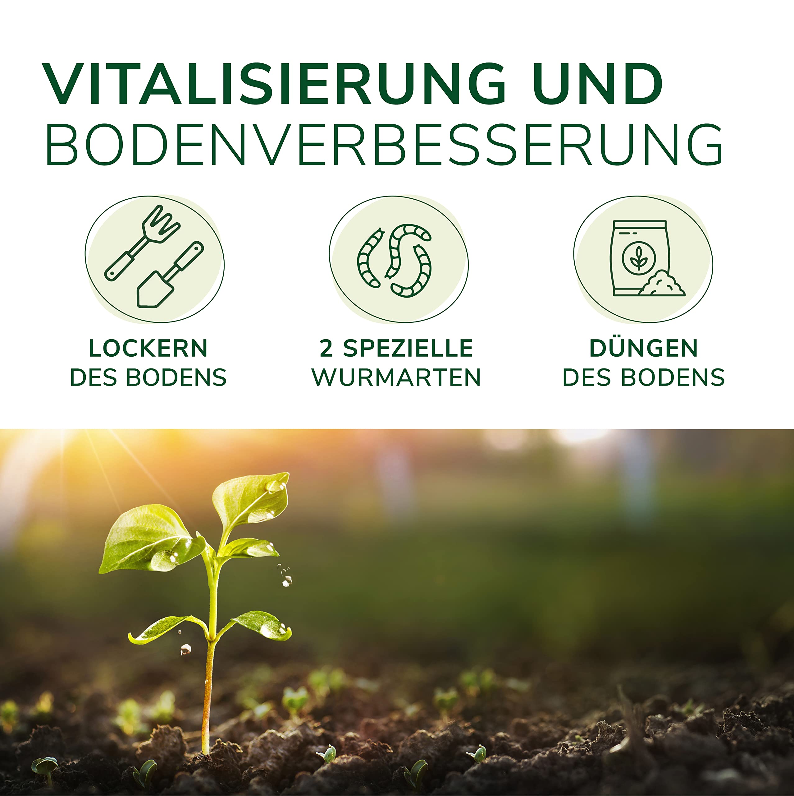 Natursache Terra Forming Paket „Jack“ I Natürlicher Bodenaktivator für Hochbeete und Pflanzkübel für 1-3 m² I Bodenverbesserer-Set mit Styroporbox, 150 STK. Regenwürmer & Einer Anleitung