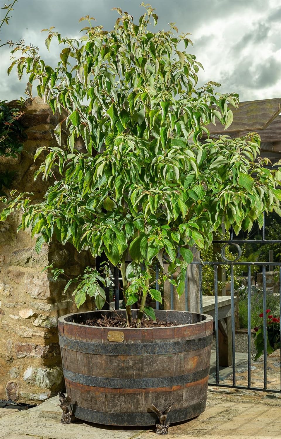 Potty Feet American Bald Eagle Figures Plant Pot Feet Planter Riser - Pot Support Feet - Handmade Yard Art Ornaments - 3pcs