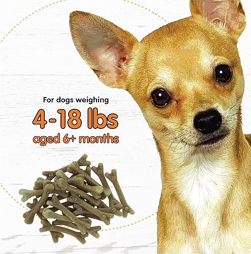 Miniatura 5 de Fido Super Breath - Huesos de cuidado dental para perros, 21 unidades de mini golosinas dentales para perros pequeños (hechos en Estados Unidos) -