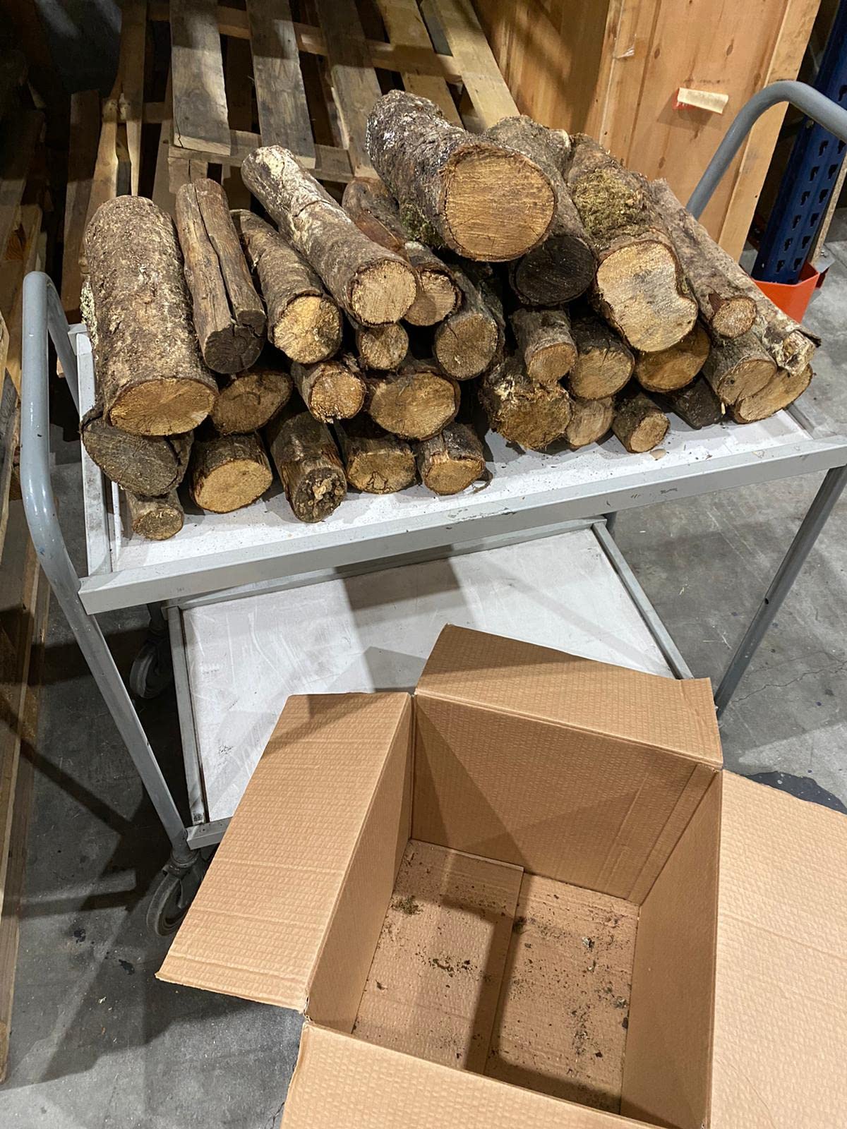 Jandei - Leña de Roble (24Kg) Tronco Mediano 30-40cm. Totalmente Seca, para Chimeneas, Barbacoas, Calderas, Estufas y Cocinas. Origen España, Marrón, JNM-0001