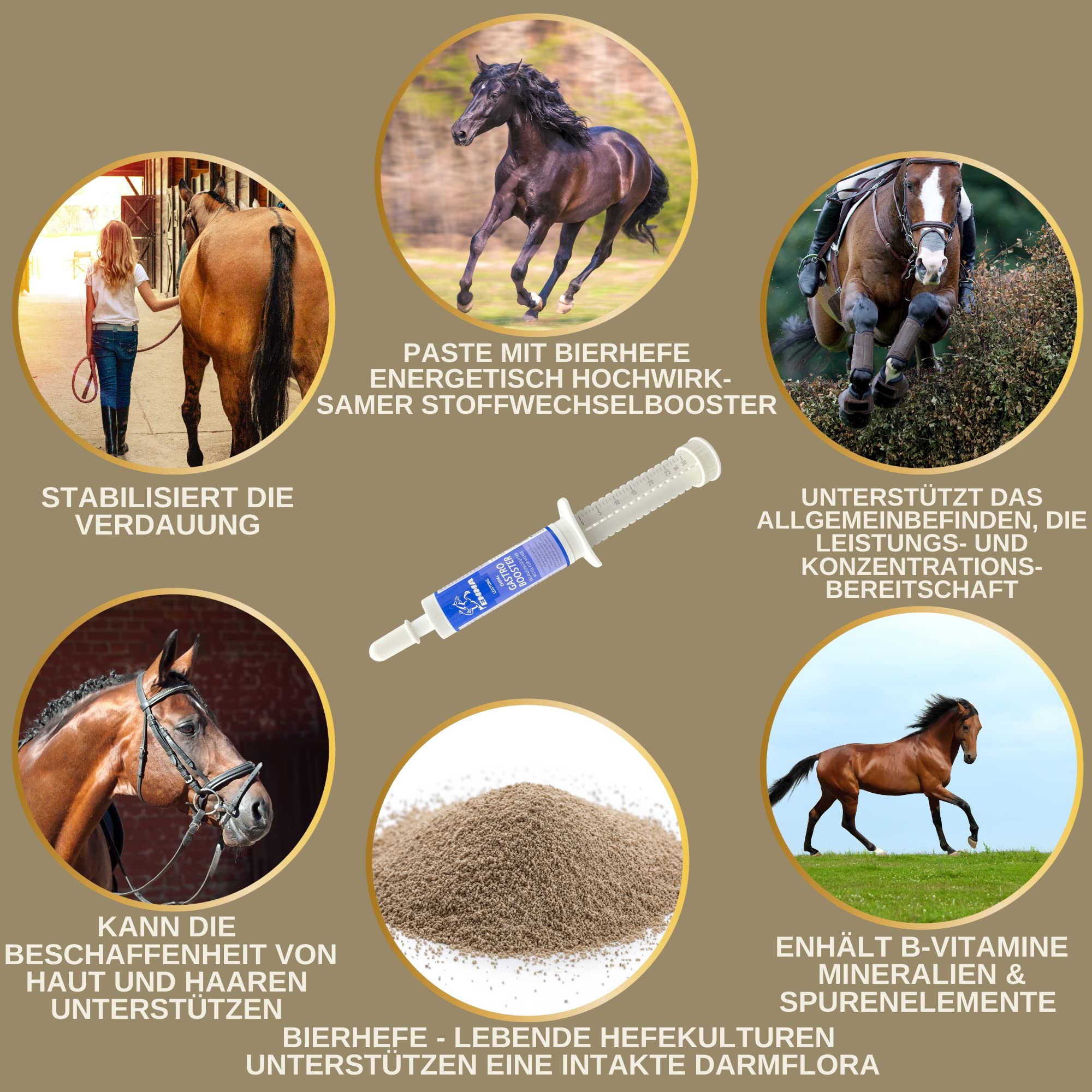 Pâte Gastro-intestinale Probiotiques Levure de bière Cheval I Vitamine E I Culture de levure Flore intestinale Gastro-intestinal - vitaminée I après colique Ecume diarrhée métabolisme Cheval 30ml