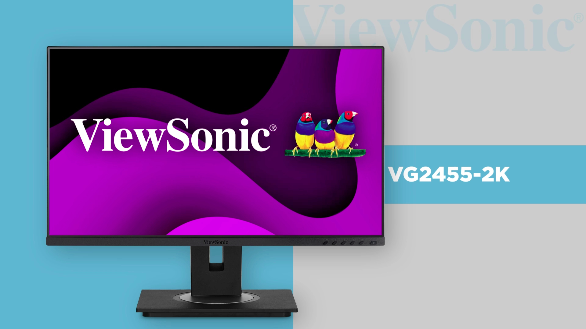 Amazon.com: ViewSonic VG2455-2K 24 Inch IPS 1440p Monitor with USB