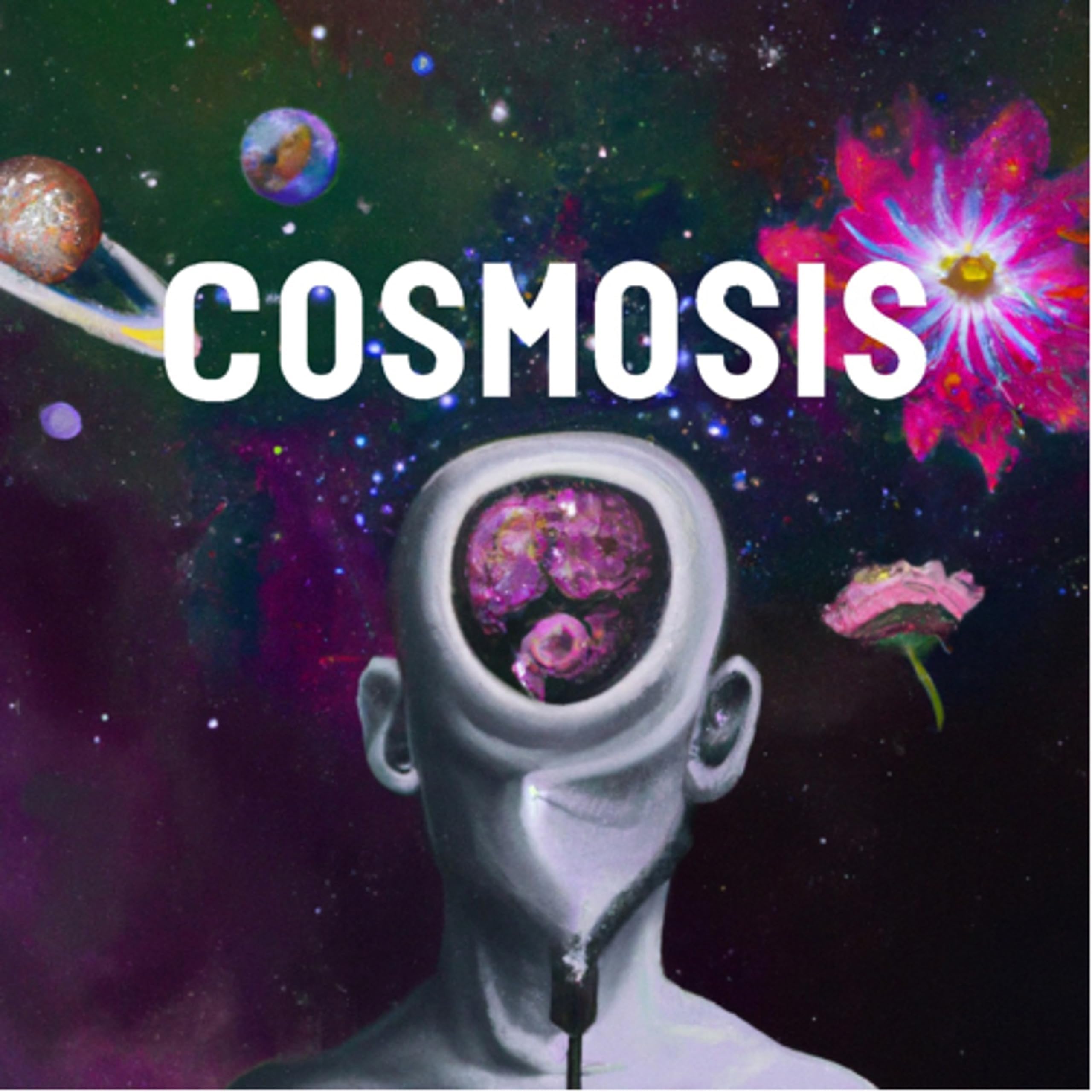 The Cosmosis