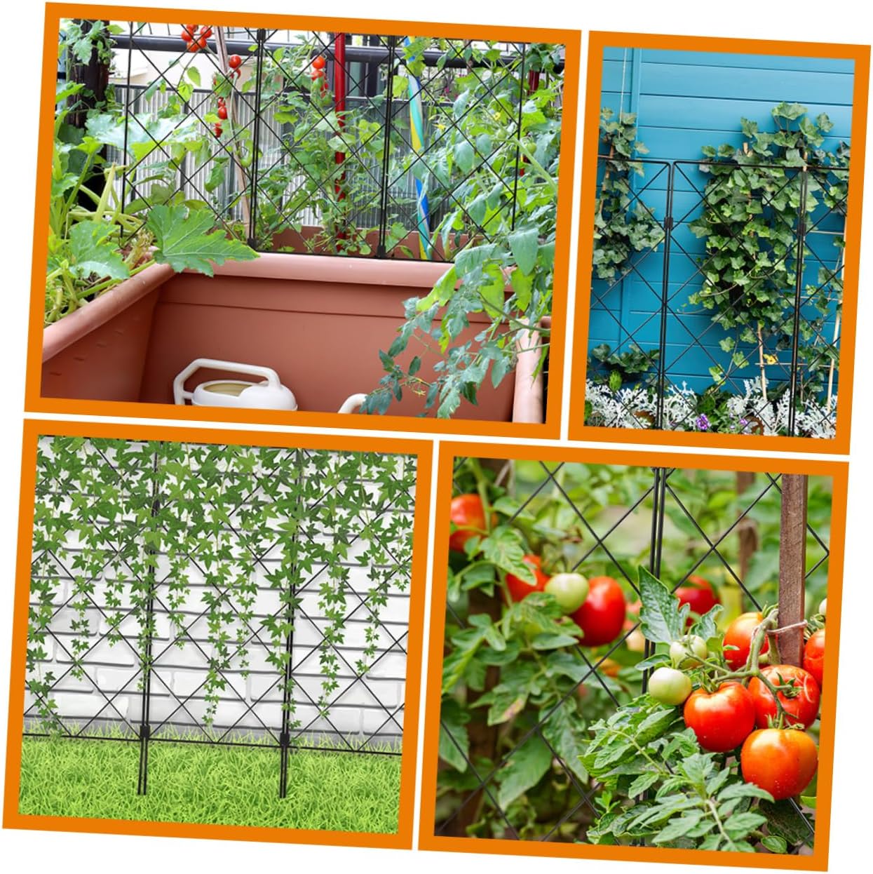 2pcs Plant Trellis Garden Support Bracket for Climbing Vines and Tomatoes