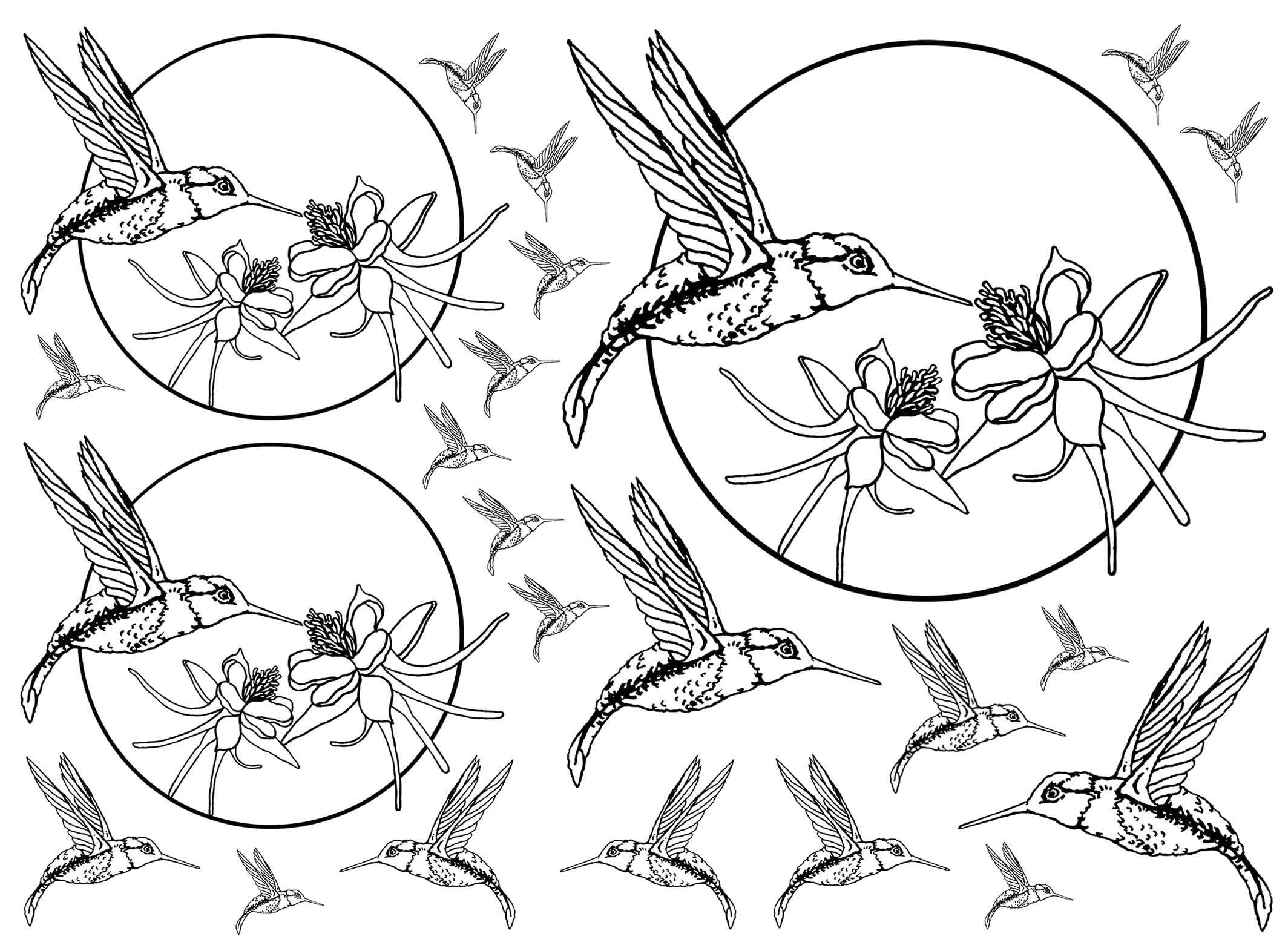 Neely Hummingbirds 23 pcs 0.5 to 4 Inch Black Fused Glass Decals