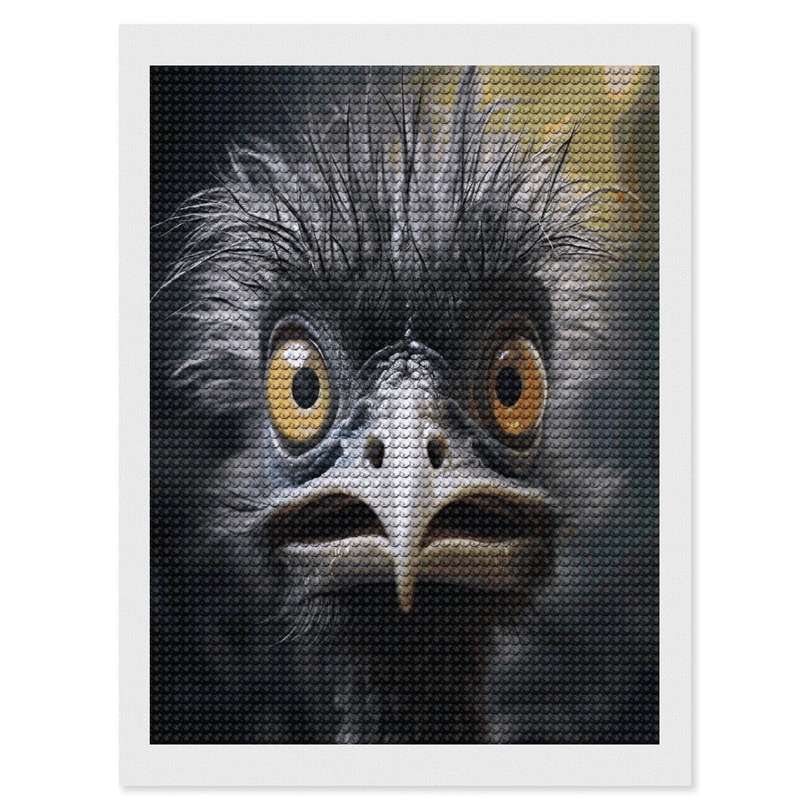 Emu Diamond Art Kits for Adult Round Full Drill Diamond Dots Paintings for Beginner Picture Art DIY Diamond Painting Kits 5D Diamond Art Painting for Home Wall Decor 12"x16"