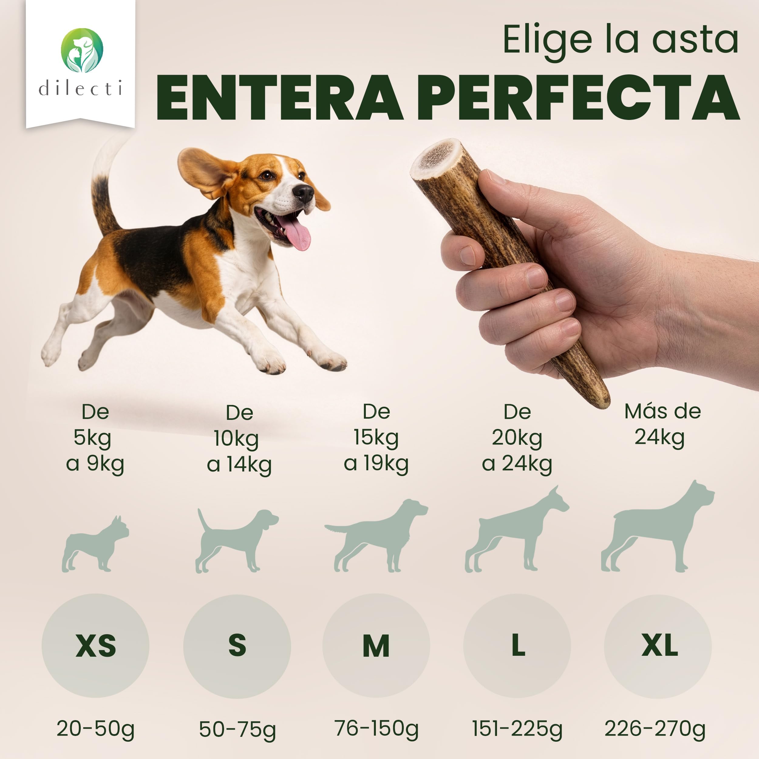 Asta de Ciervo para Perros Hueso Perro Morder Que Reduce el Sarro, Mordedor Natural para Cachorros y Perros Grandes (Duro S (Paquete de 3))