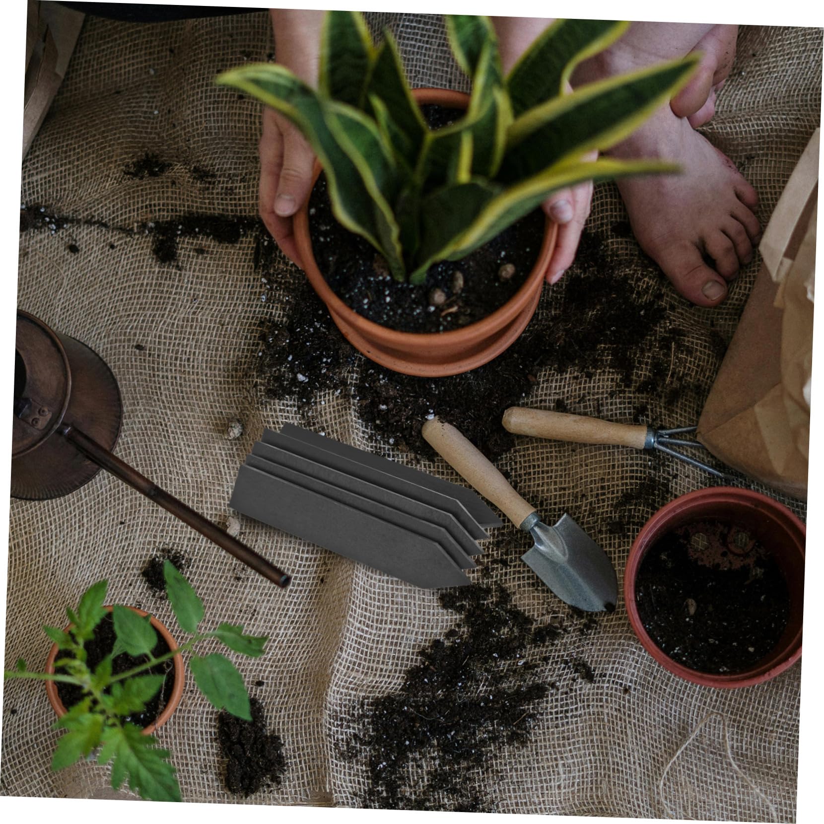 Toyvian 2 Ensembles Étiquettes De Plantes Ardoise De Marqueurs Réutilisables Pour Jardinage Pour Plantes Pot Et Plus Durable Et Pratique Pour Identifier Vos 10 Pièces * 2