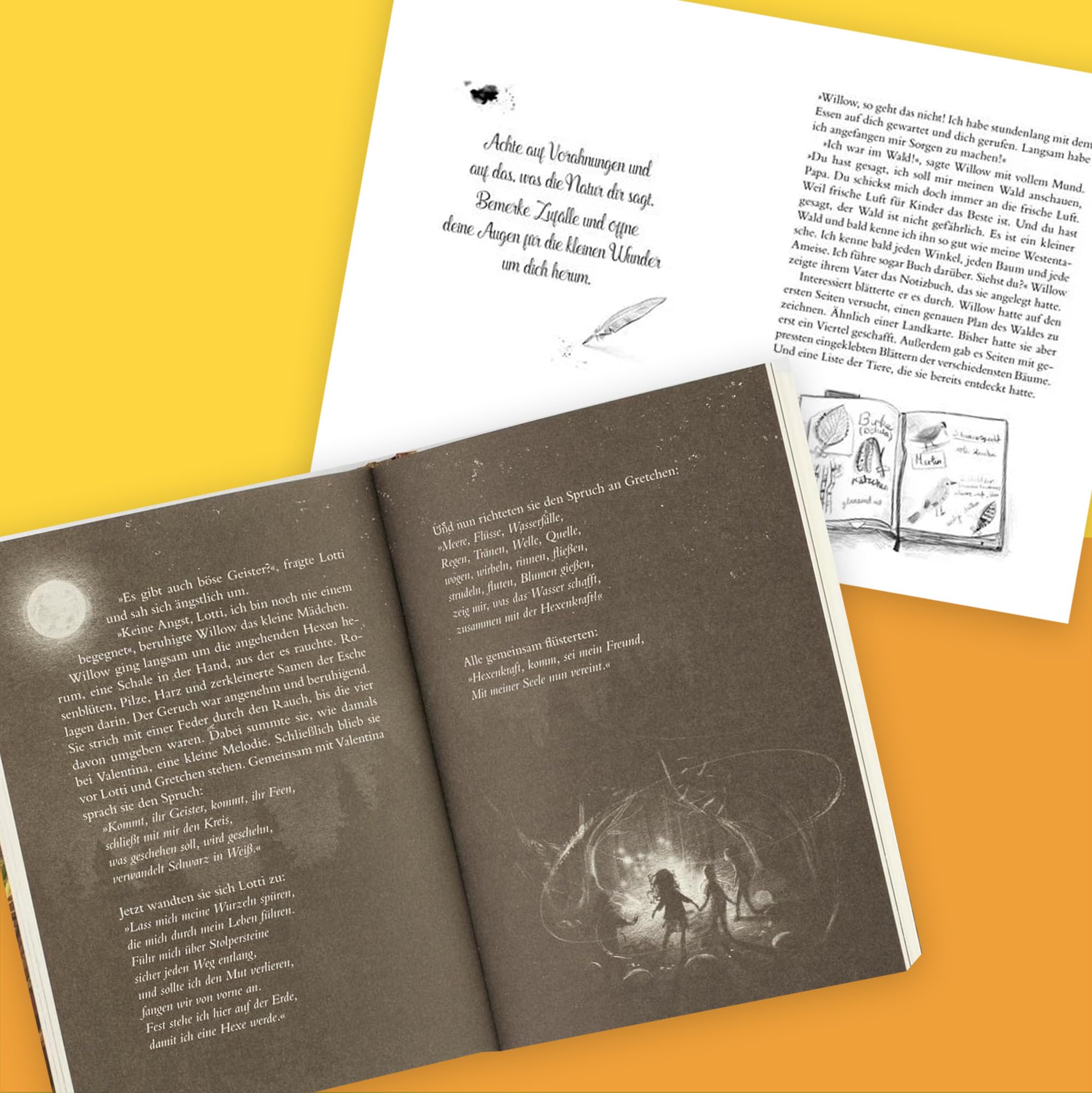 Ein Mädchen namens Willow Band 1–5 von Sabine Bohlmann – Kinderbuch-Set ab 10 Jahren mit exklusivem Lesezeichen & Zauberhafte Geschichten über Freundschaft Hexenkraft & die Magie des Waldes