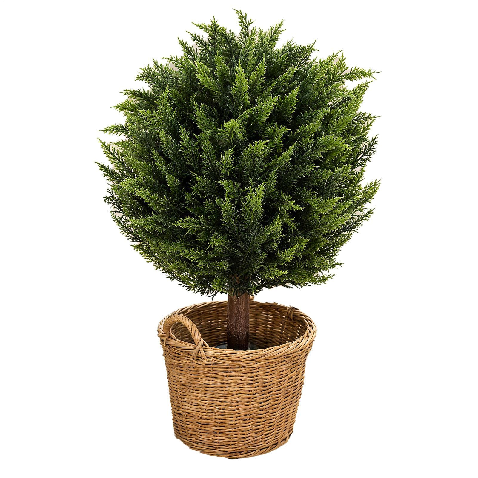 Décoration d'intérieur de qualité supérieure avec cette plante en pot réaliste