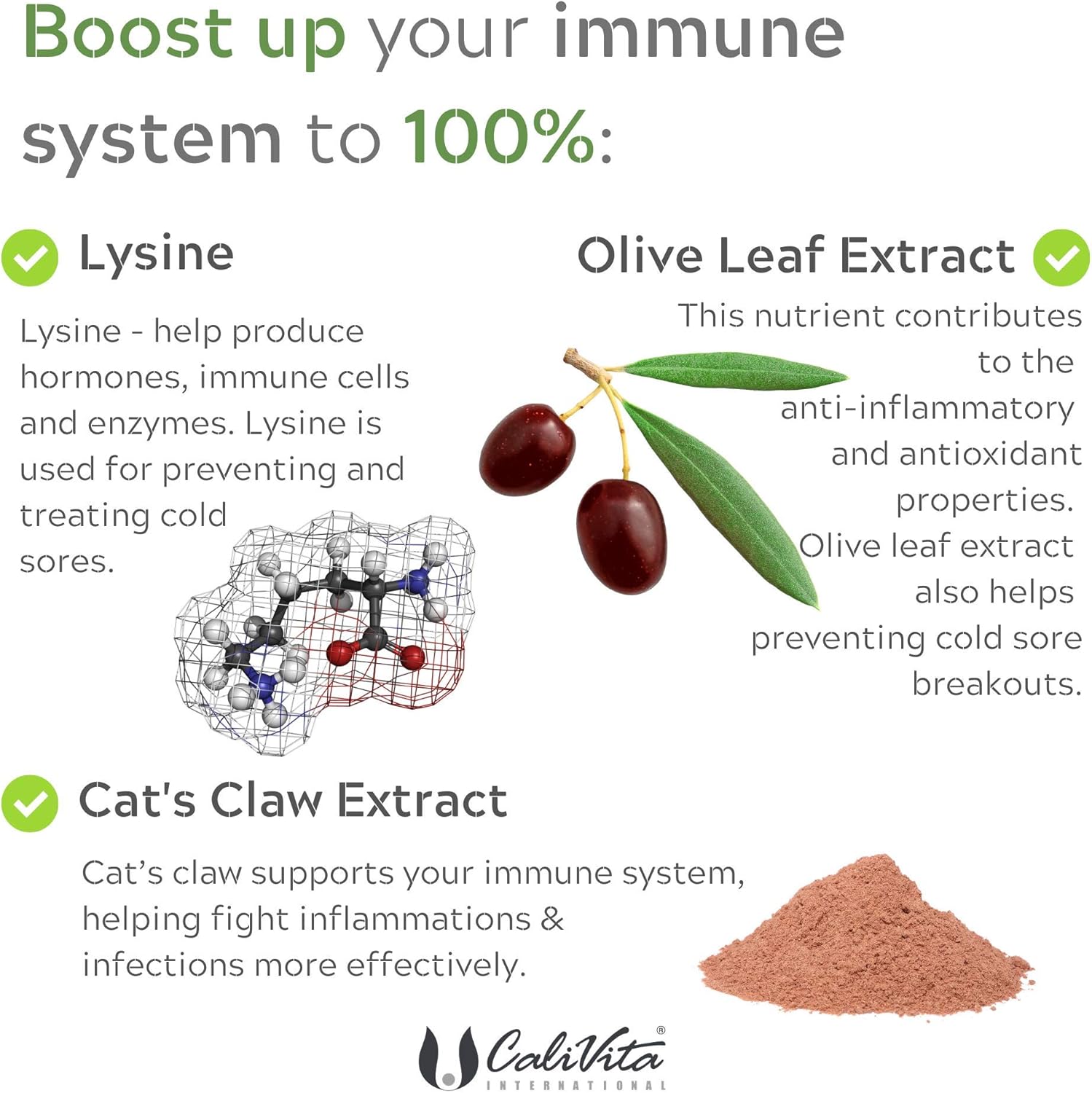 Virago All Natural Cold Sore Treatment Vegan Immunity Booster L Lysine And Olive Leaf Extract Cat S Claw Extract And Other Herbs Antioxidant Supplement 90 Tablets Made In Usa