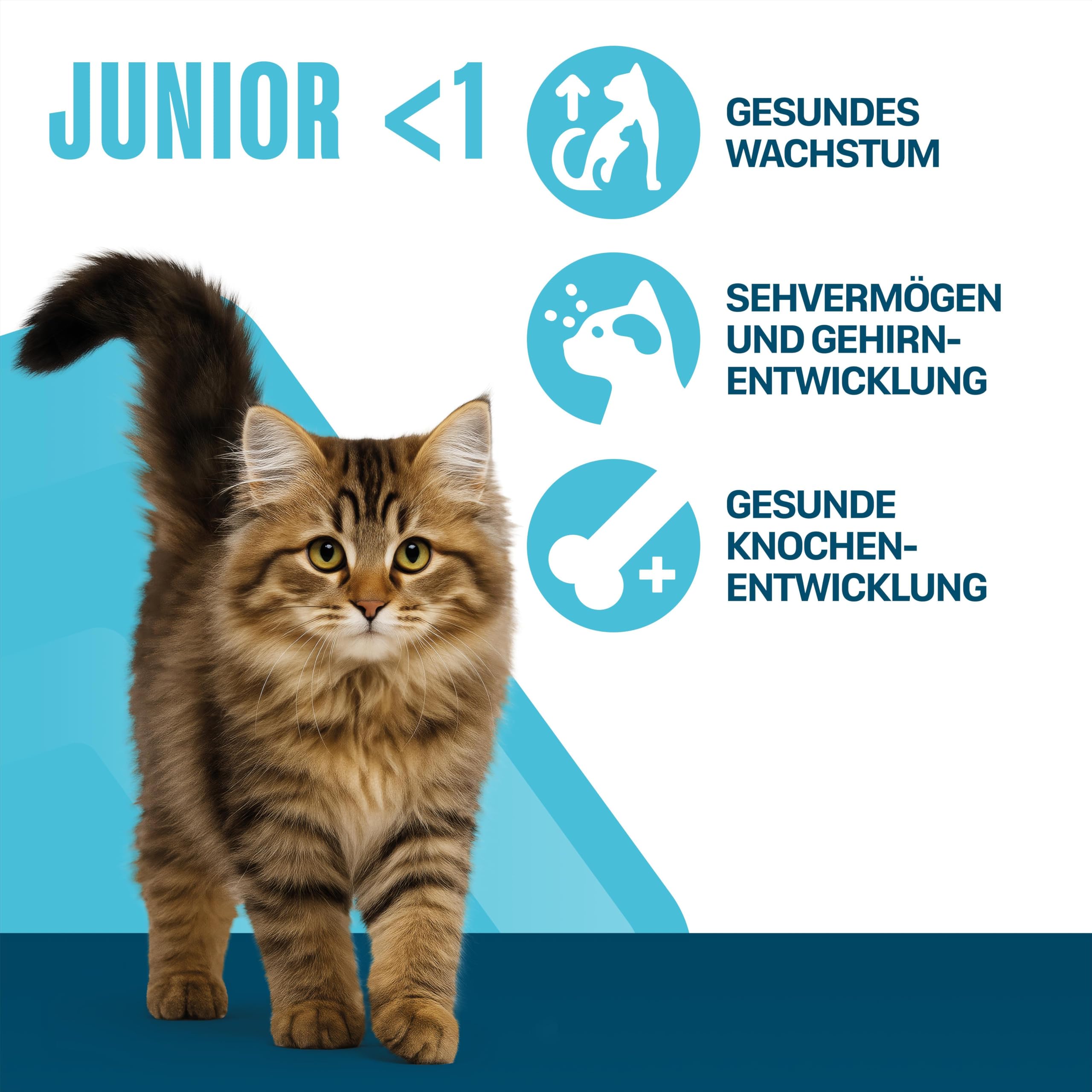 PERFECT FIT Junior <1 Trockenfutter für Katzen 7 kg Huhn