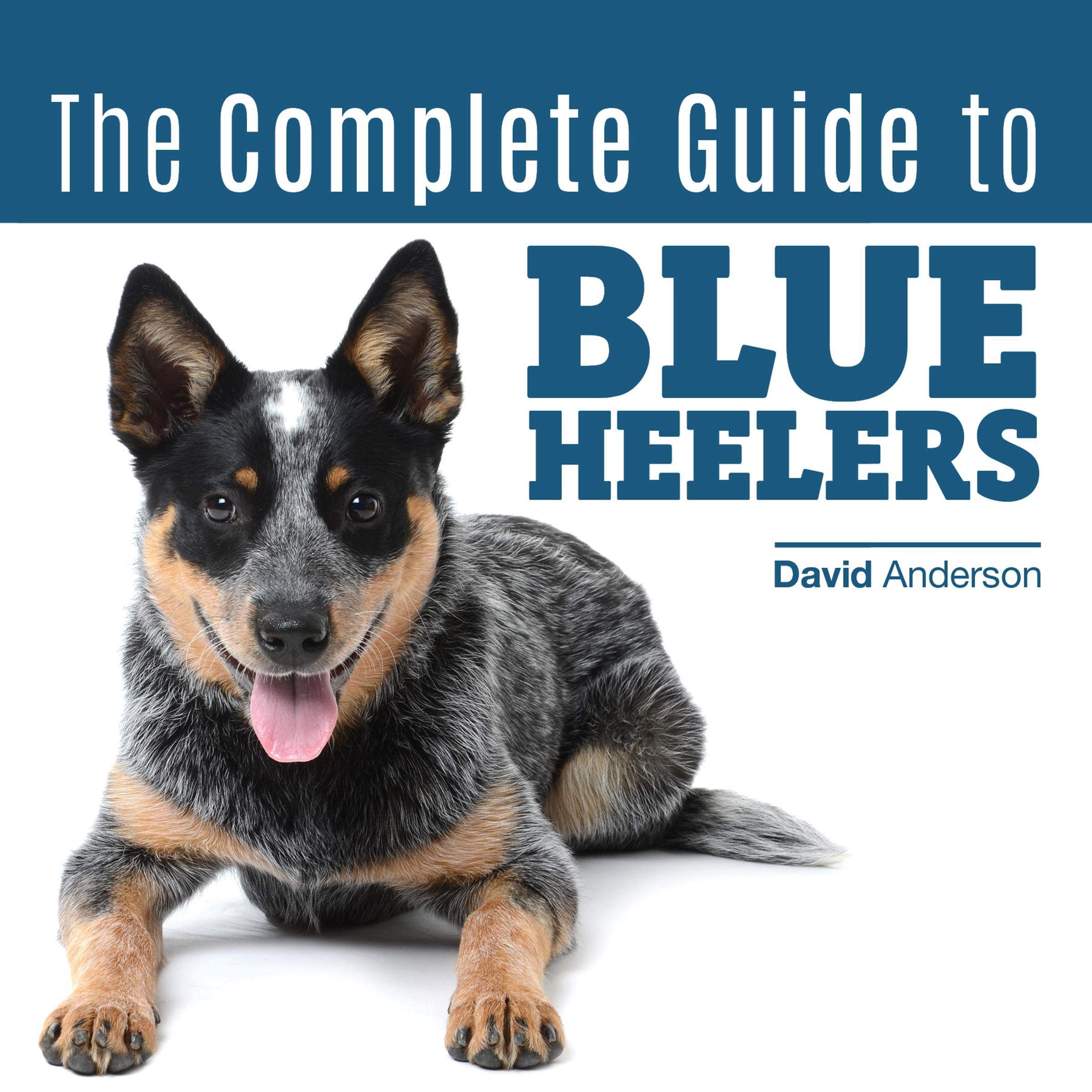 Cover art for The Complete Guide to Blue Heelers