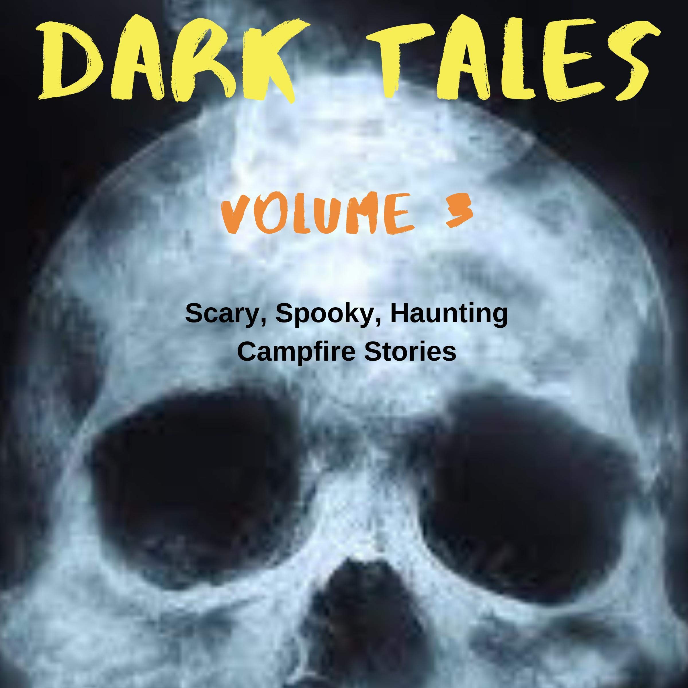 Cover art for Dark Tales Volume 3: Scary, Spooky, Haunting Campfire Stories