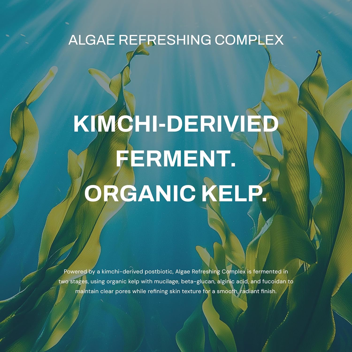 Whamisa Organic Algae Body Cleanser – Contouring, Fermented Ingredient Formula for Refreshing Skin, Body Wash, Korean Skin Care (490ml) - Image 5