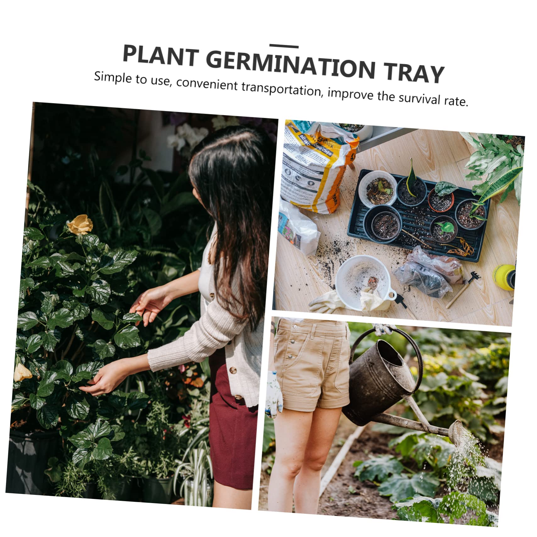 TOYANDONA 6pièces Lot de Plateaux de Semis Multi Germination des Germes Pratiques pour Jardinage et Culture
