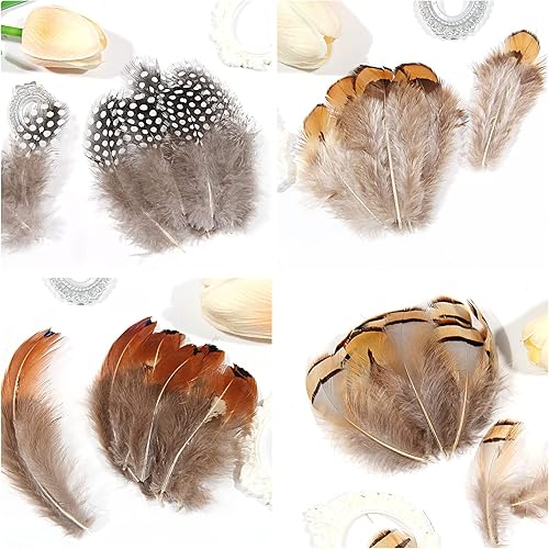 Miniatura 3 de SendyFeather 200 plumas naturales de 10 estilos surtidos de plumas para atrapasueños, manualidades, decoración de bricolaje
