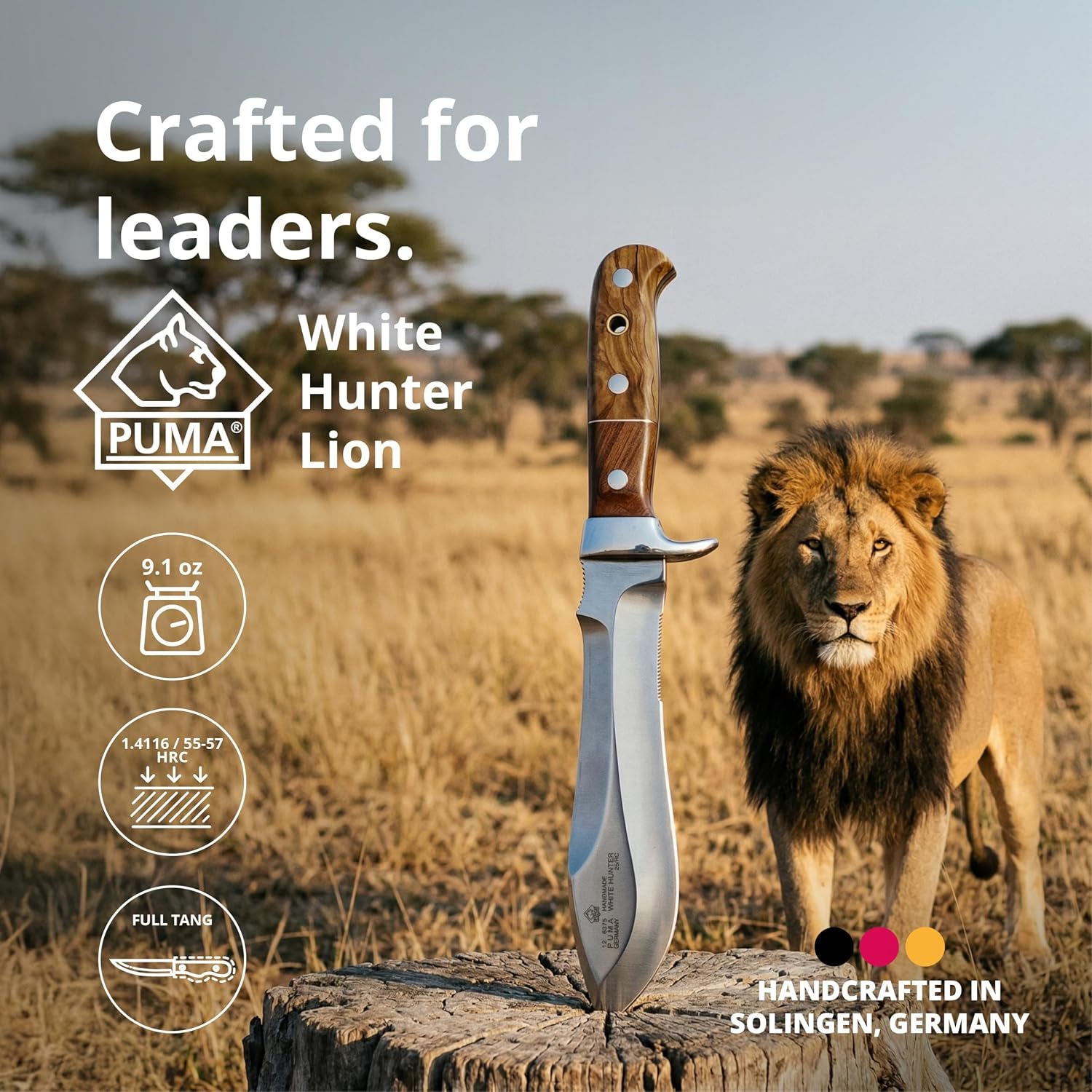 PUMA – White Hunter Lion - Special Edition - The Legendary Hunting Knife - Handmade in Solingen, Germany - Plum & Olive Wood Handle - 6.1” Blade – Full Tang – Includes Premium Saddle Leather Sheath