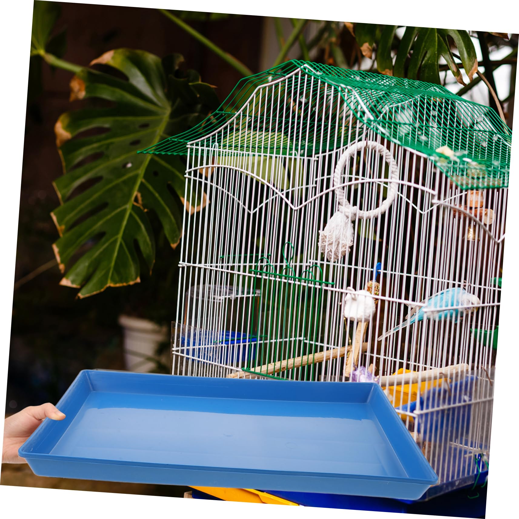 Vassoio per Lettiera per Conigli in Plastica Blu, per Gabbia e Trasportino, Rifinito e Antiruggine, per Animali Domestici