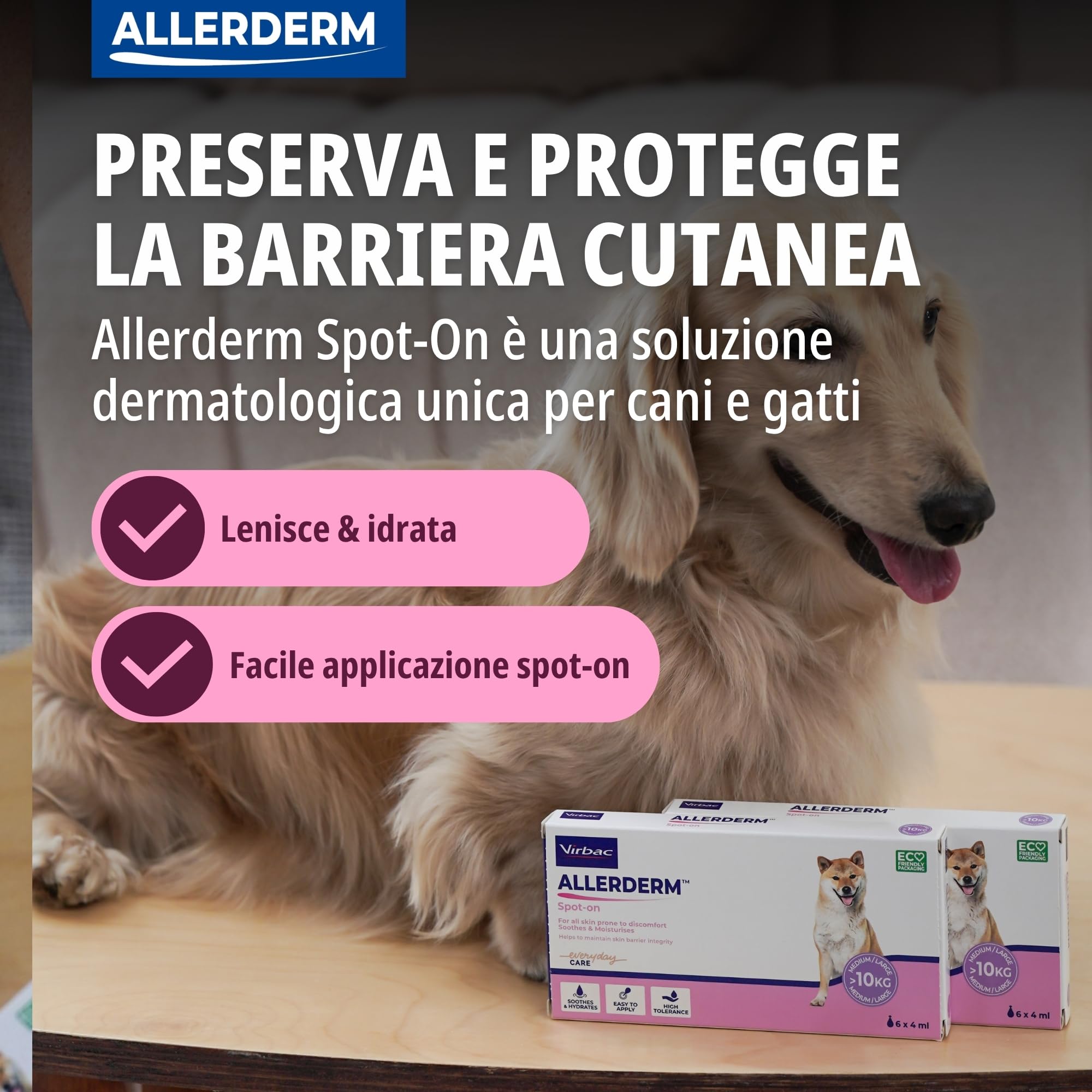 ALLERDERM SPOT-ON 4 ml 6 pip >10KG