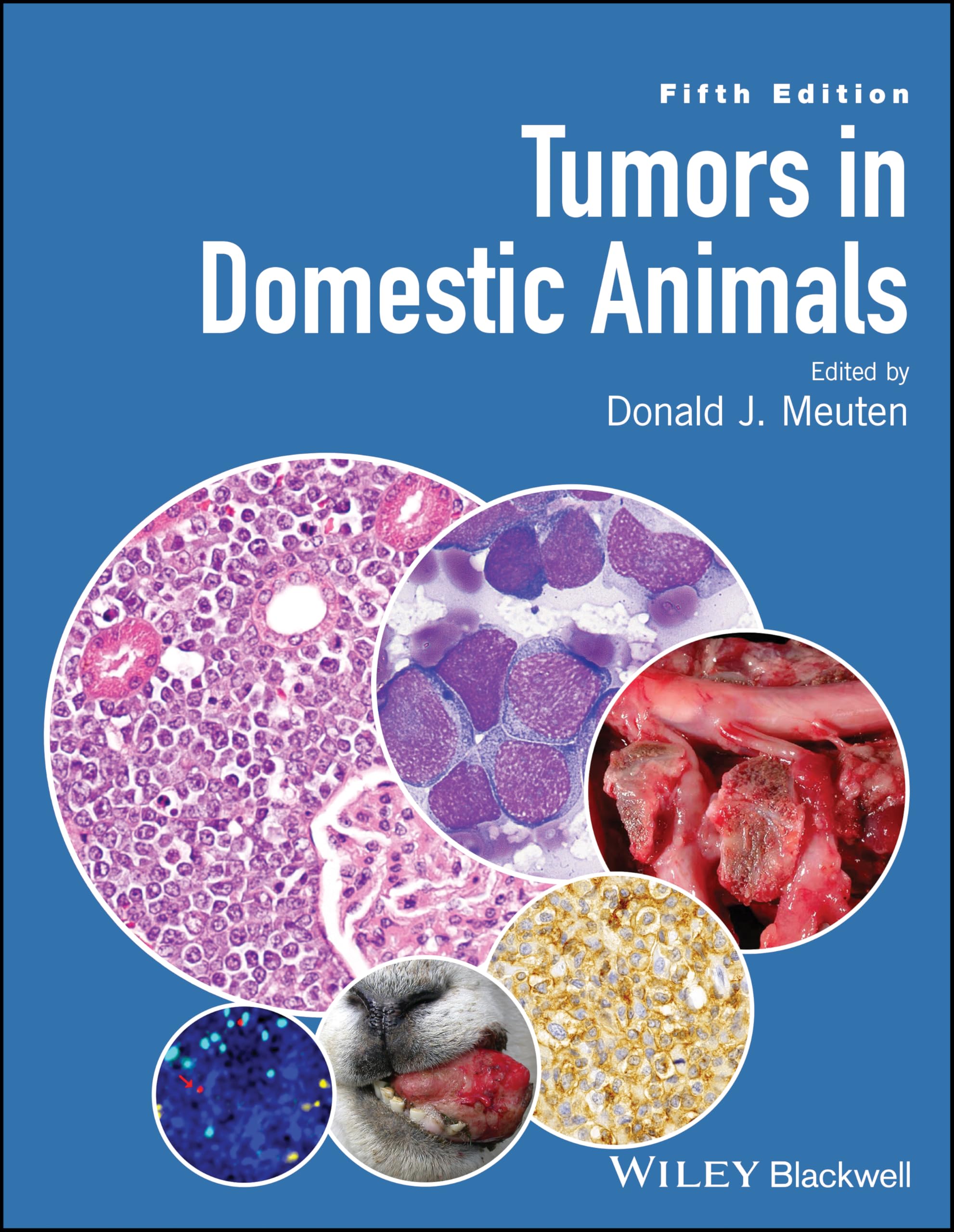 Tumors in Domestic Animals | Amazon.com.br