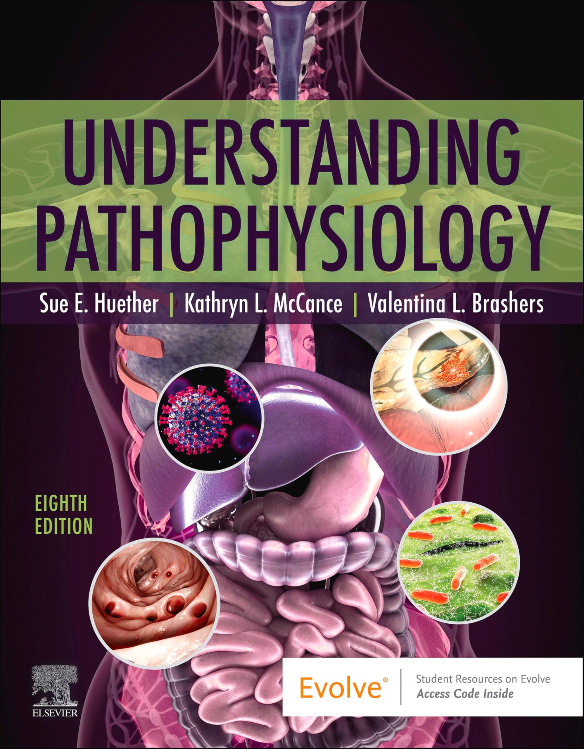 Understanding Pathophysiology - E-Book (English Edition)