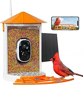 Smart Bird Feeder with Camera Solar, Auto Capture Bird Videos & Motion Detection, Birds Watching Camera Notify in Time, Metal Birds Feeder with Seed Guard, Ideal Present for Mom (Orange) asin的图片