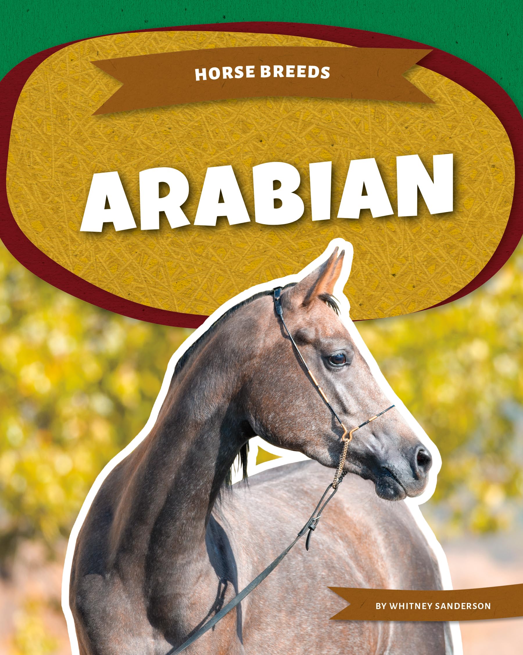 Arabian (Horse Breeds)