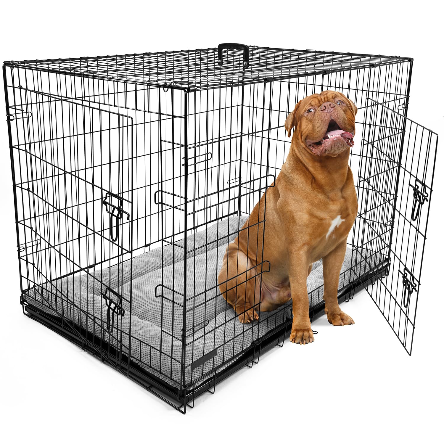 DogCrates+ Extra Extra Large Foldable Dog Crate with Bed, 2 Doors Design, Non-Chew Metal, Removable Tray, 46-Inch Black