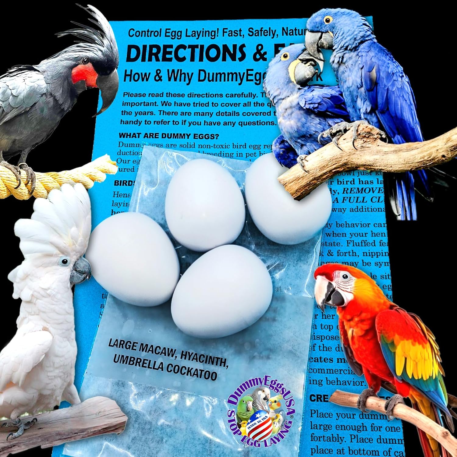 Plastic Large Parrot Eggs for Macaw & Cockatoo. 4 Dummy Solid Non-Toxic Fake Decoy Faux Mock Eggs 1-7/8" x 1-1/2" (4.8 x 3.8cm) Tricks Your Parrot Everytime!