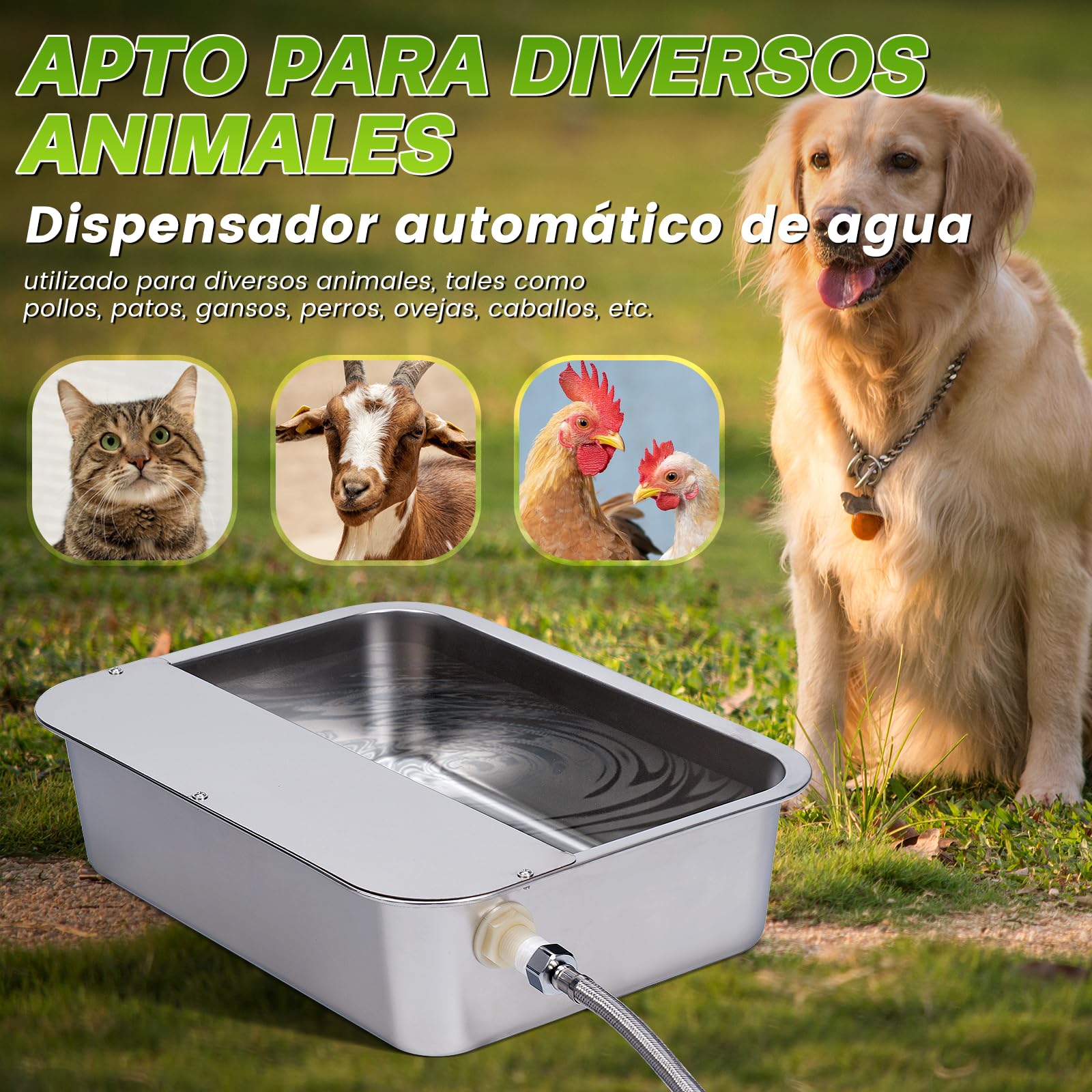 Dispensador Automático de Agua para Perros de 11L con Válvula Flotante, Bebedero para canino al Aire Libre para Dos Chucho, Cuenco de Agua para Perros de Gravedad de Acero Inoxidable (Autocompletar)