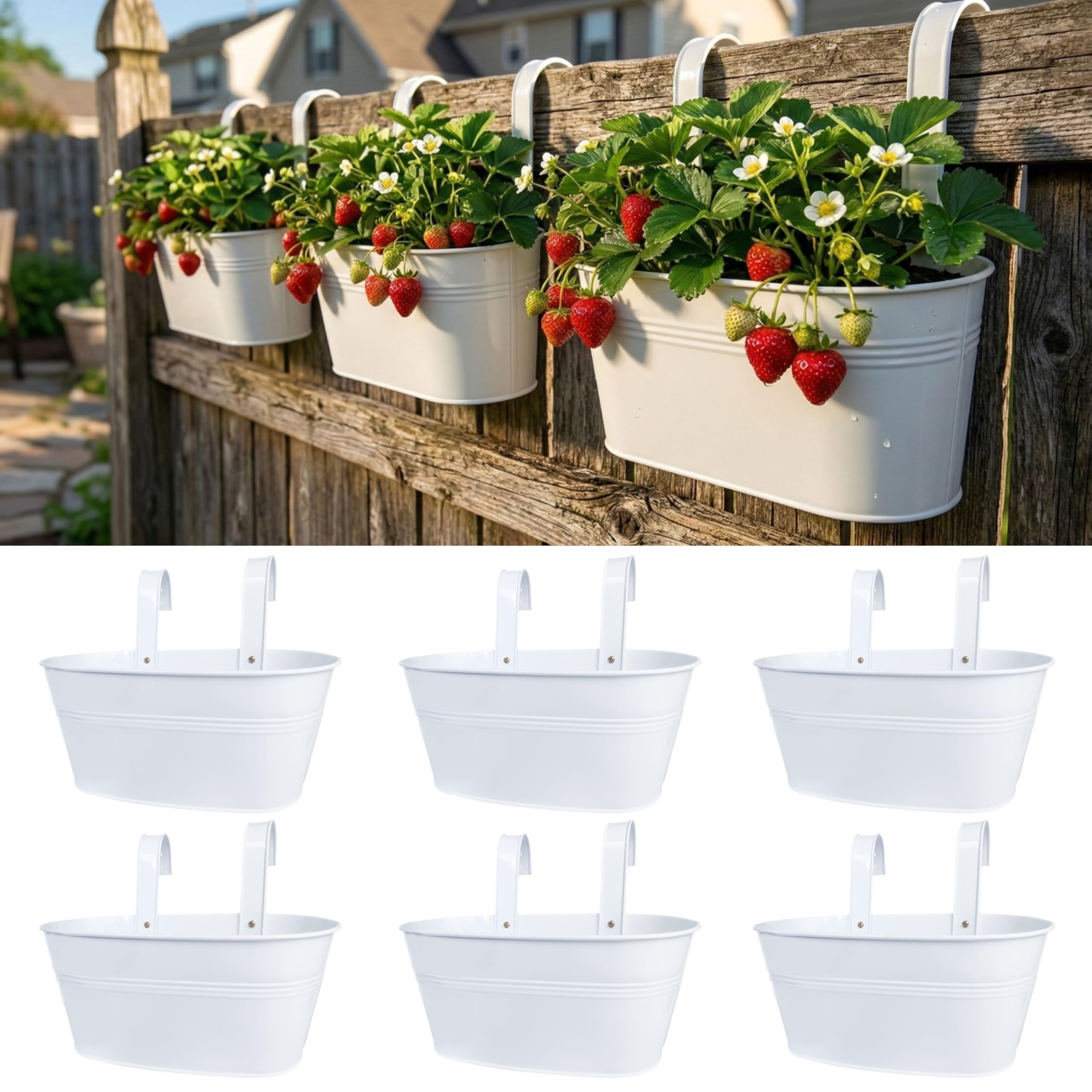 LaLaGreen Rail Planters 6-Pack