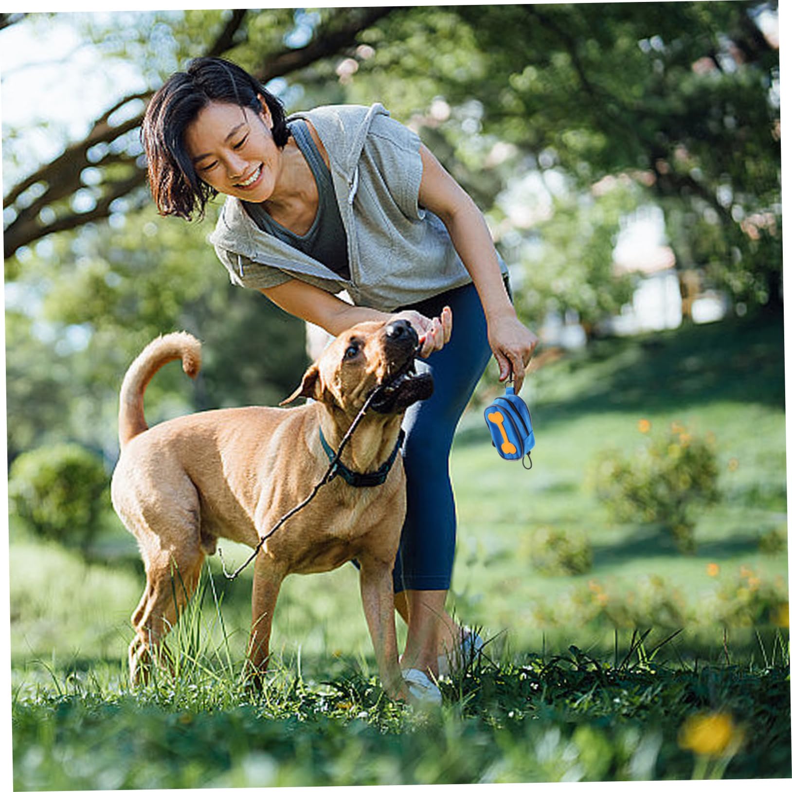 Toyvian 8 rouleaux Distributeur Portable de Sacs à Déjections Canines avec Zippé Oxford de pour Promenade et Accessoires Chien